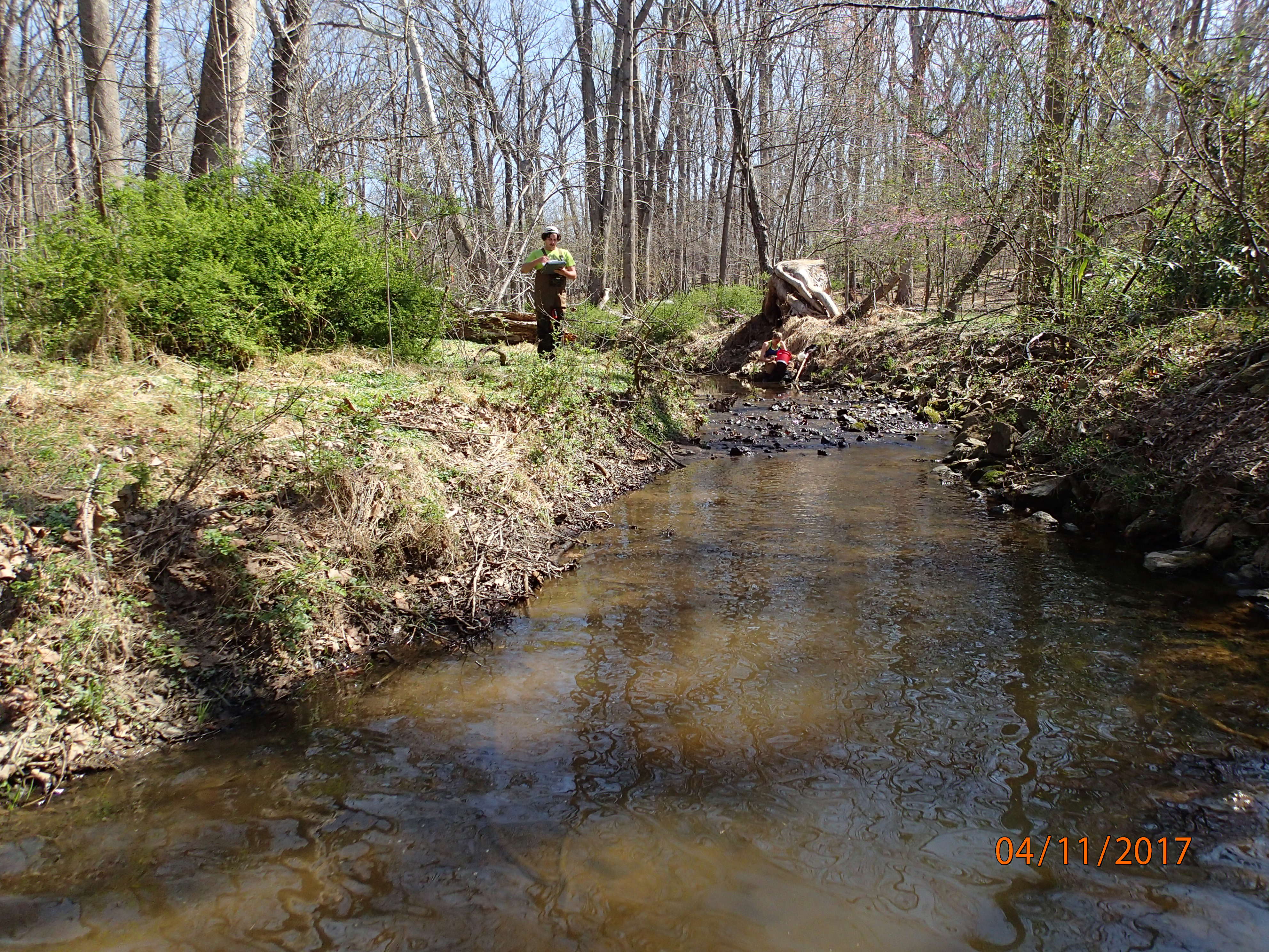 Field photo showing stream conditions at site PRMO-206-X-2017-MidpointUpstream