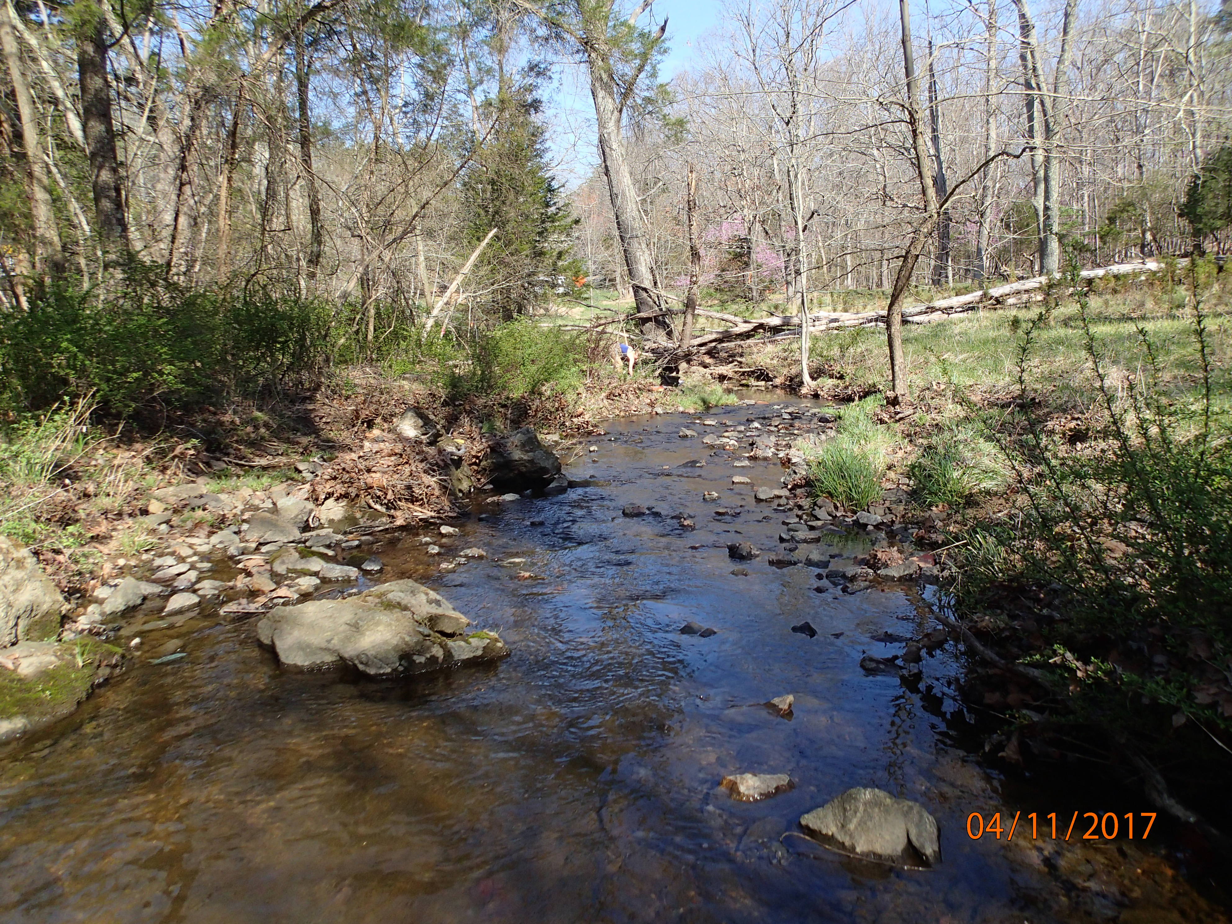 Field photo showing stream conditions at site PRMO-207-X-2017-MidpointDownstream