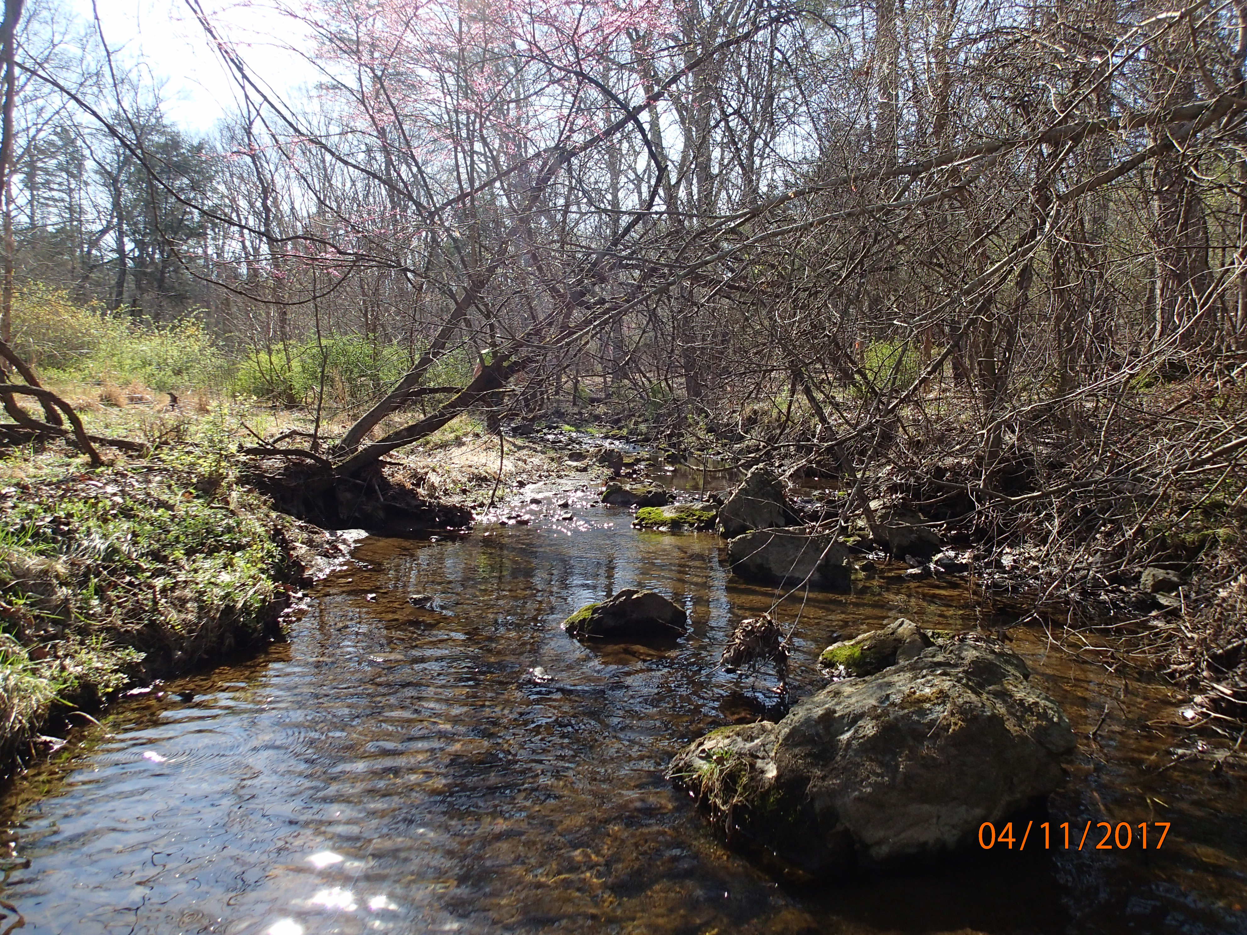Field photo showing stream conditions at site PRMO-207-X-2017-MidpointUpstream