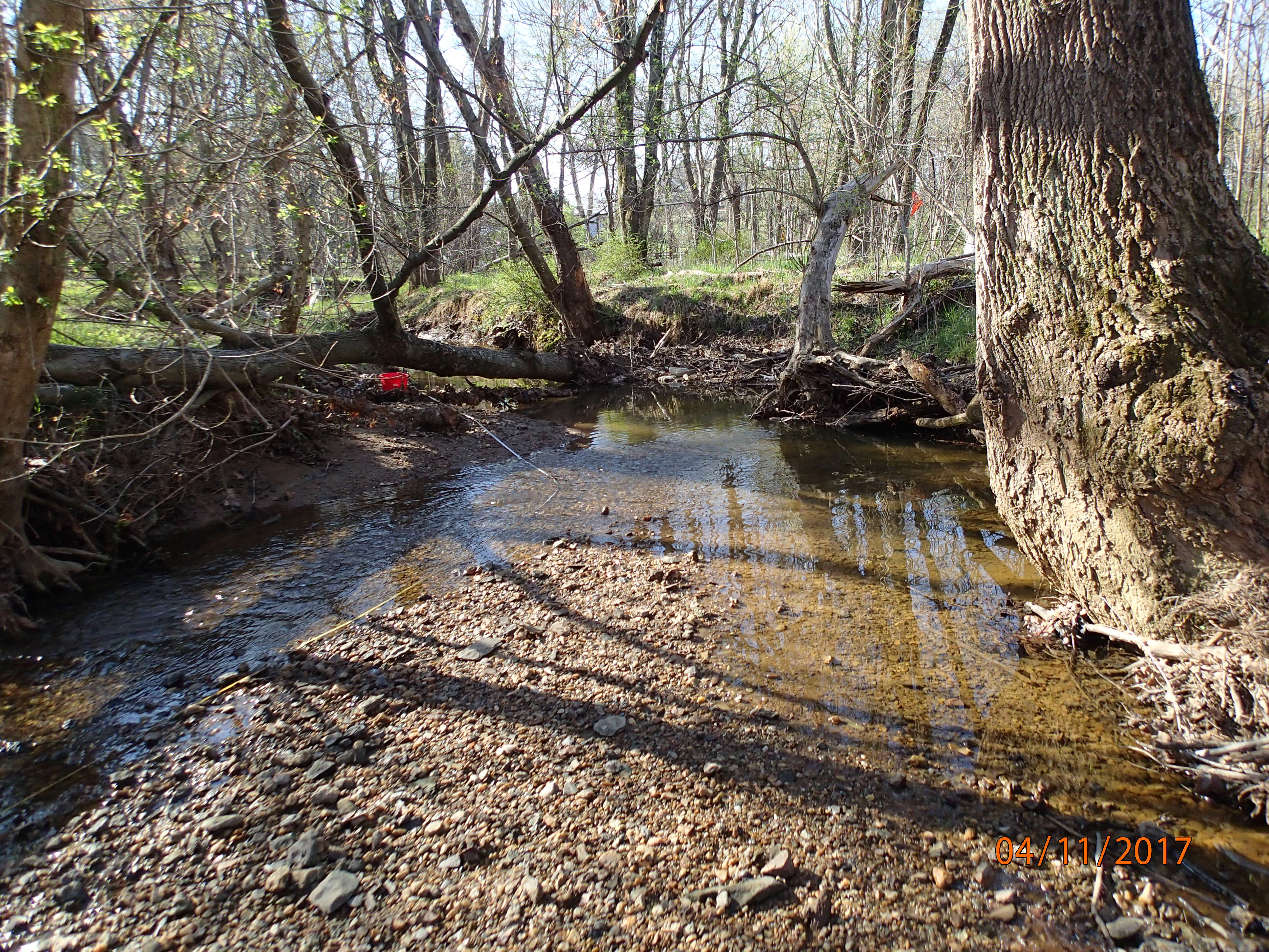 Field photo showing stream conditions at site PRMO-208-X-2017-MidpointDownstream