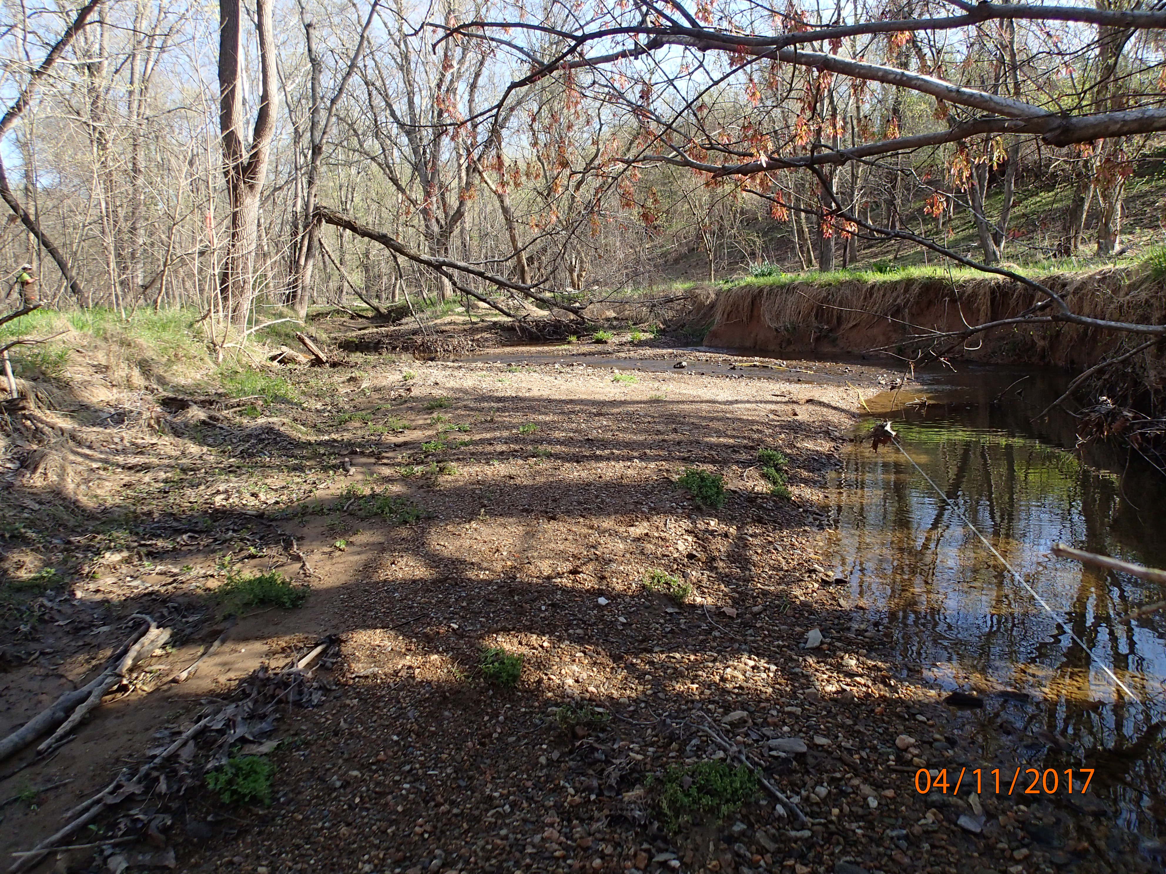 Field photo showing stream conditions at site PRMO-208-X-2017-MidpointUpstream