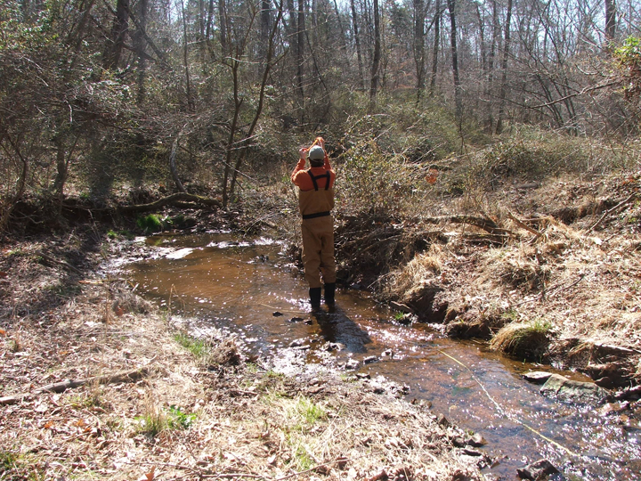 Field photo showing stream conditions at site PRMO-209-R-2008-1