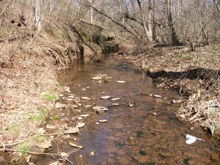 Field photo showing stream conditions at site PRMO-209-R-2008-2