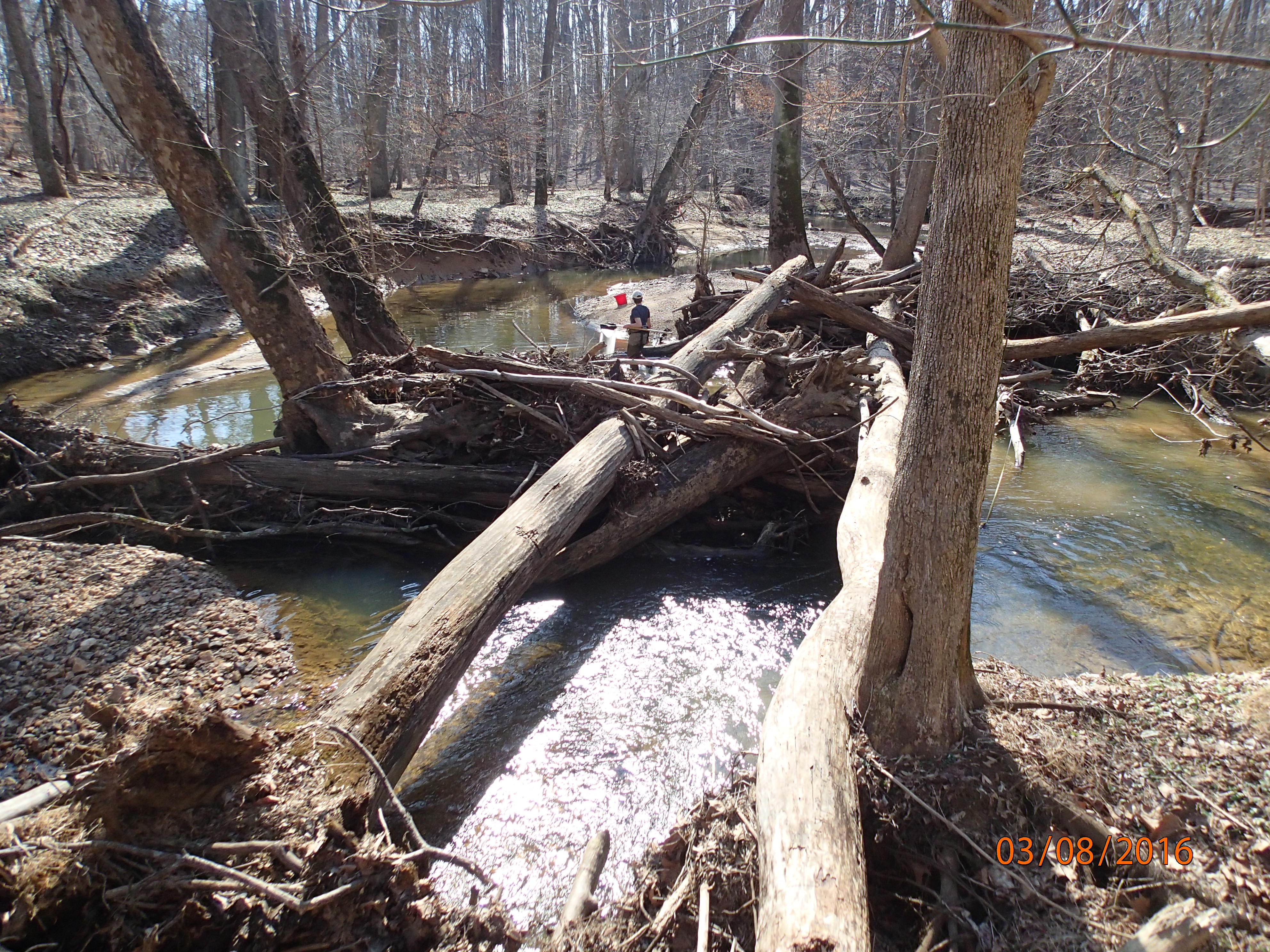 Field photo showing stream conditions at site PRMO-222-R-2016-MidpointDownstream