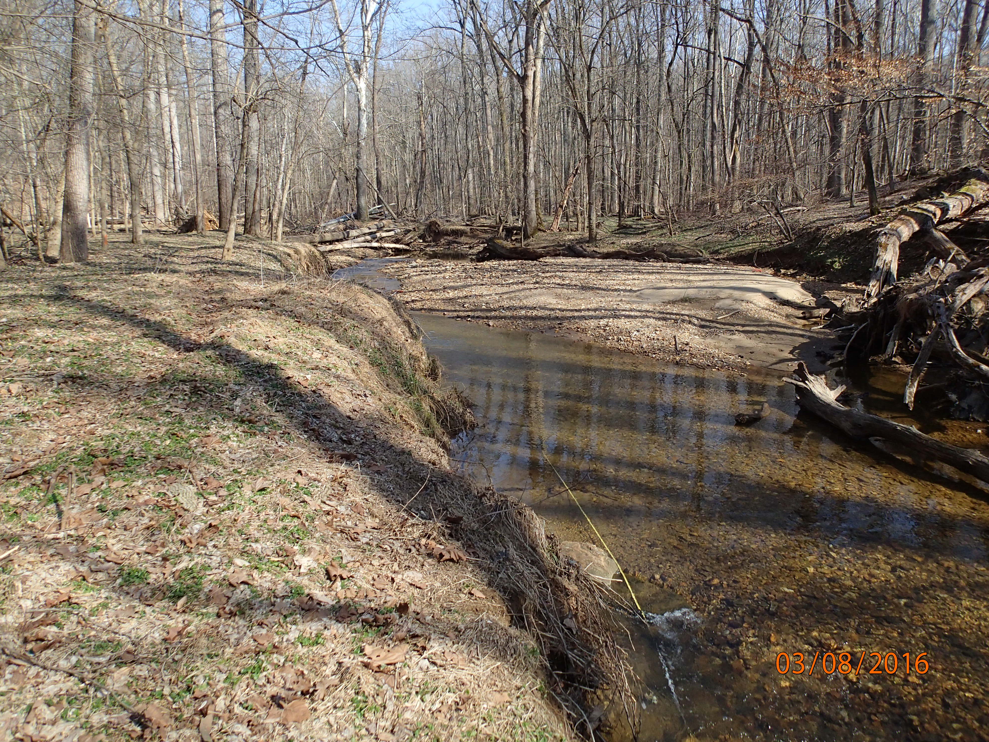 Field photo showing stream conditions at site PRMO-222-R-2016-MidpointUpstream