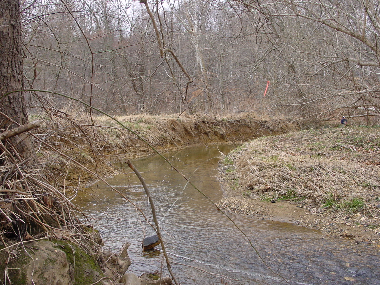 Field photo showing stream conditions at site PRMO-304-R-2002-2