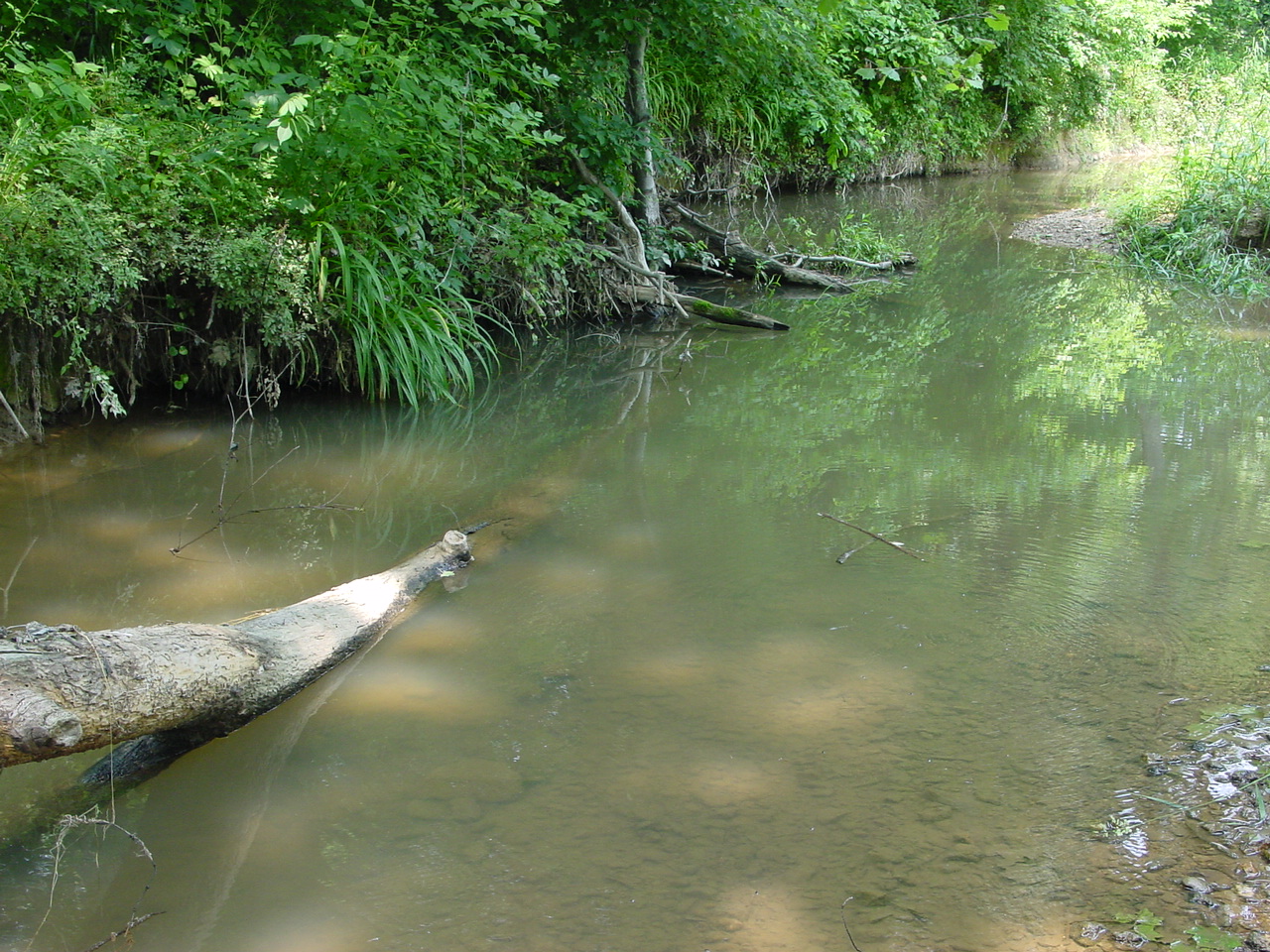Field photo showing stream conditions at site PRMO-304-R-2002-3