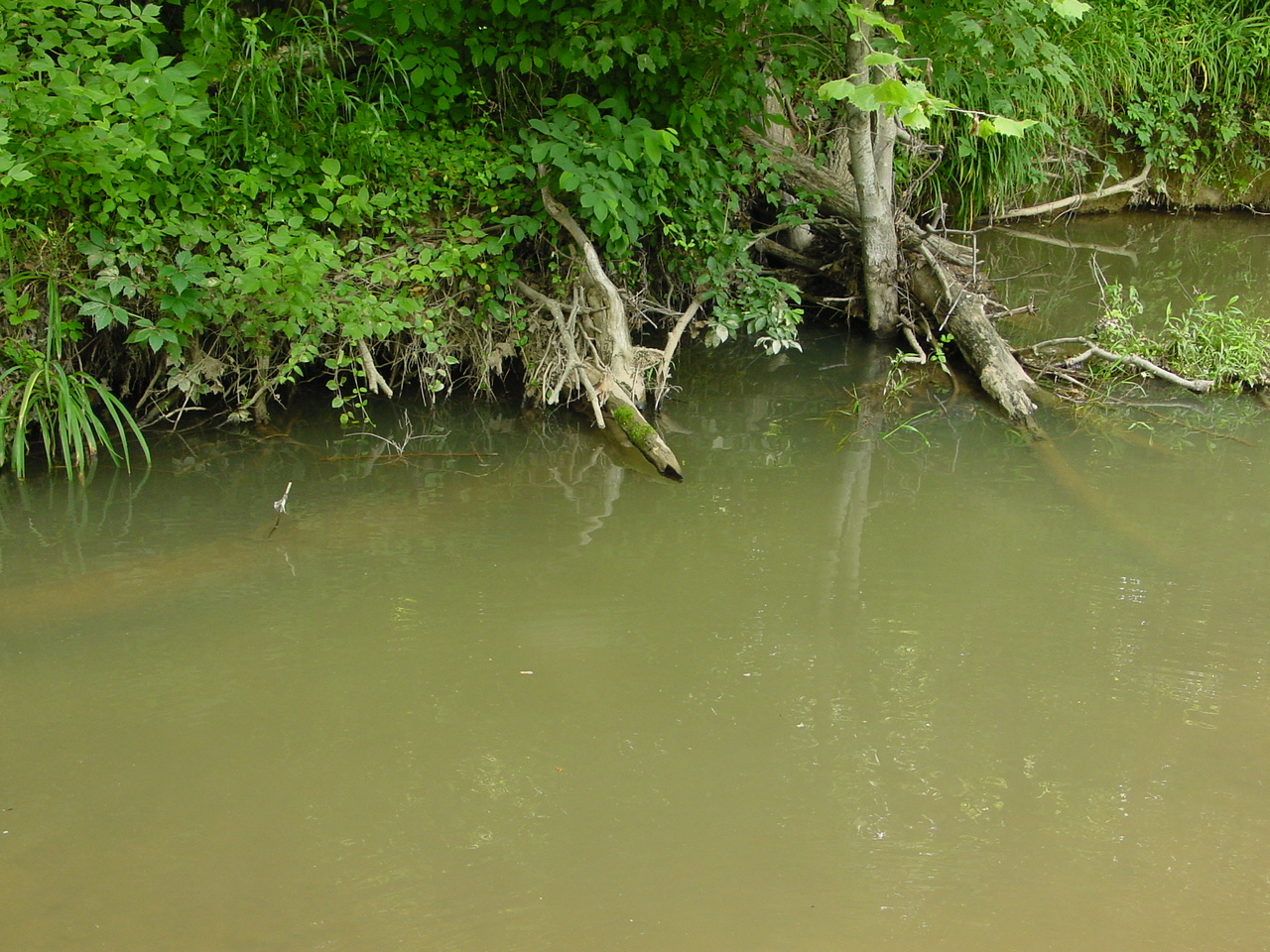 Field photo showing stream conditions at site PRMO-304-R-2002-4