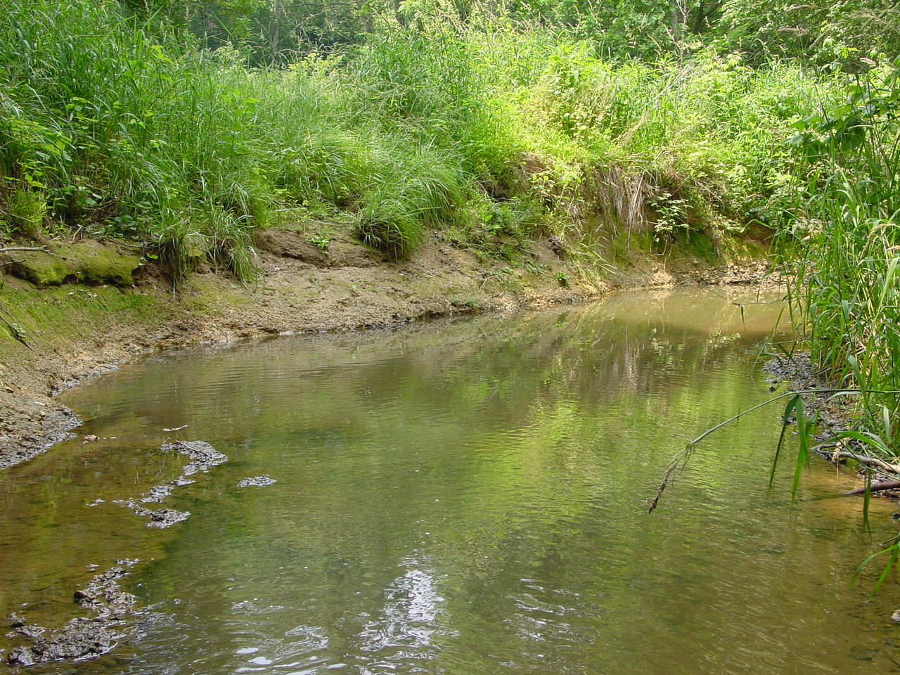 Field photo showing stream conditions at site PRMO-304-R-2002-6
