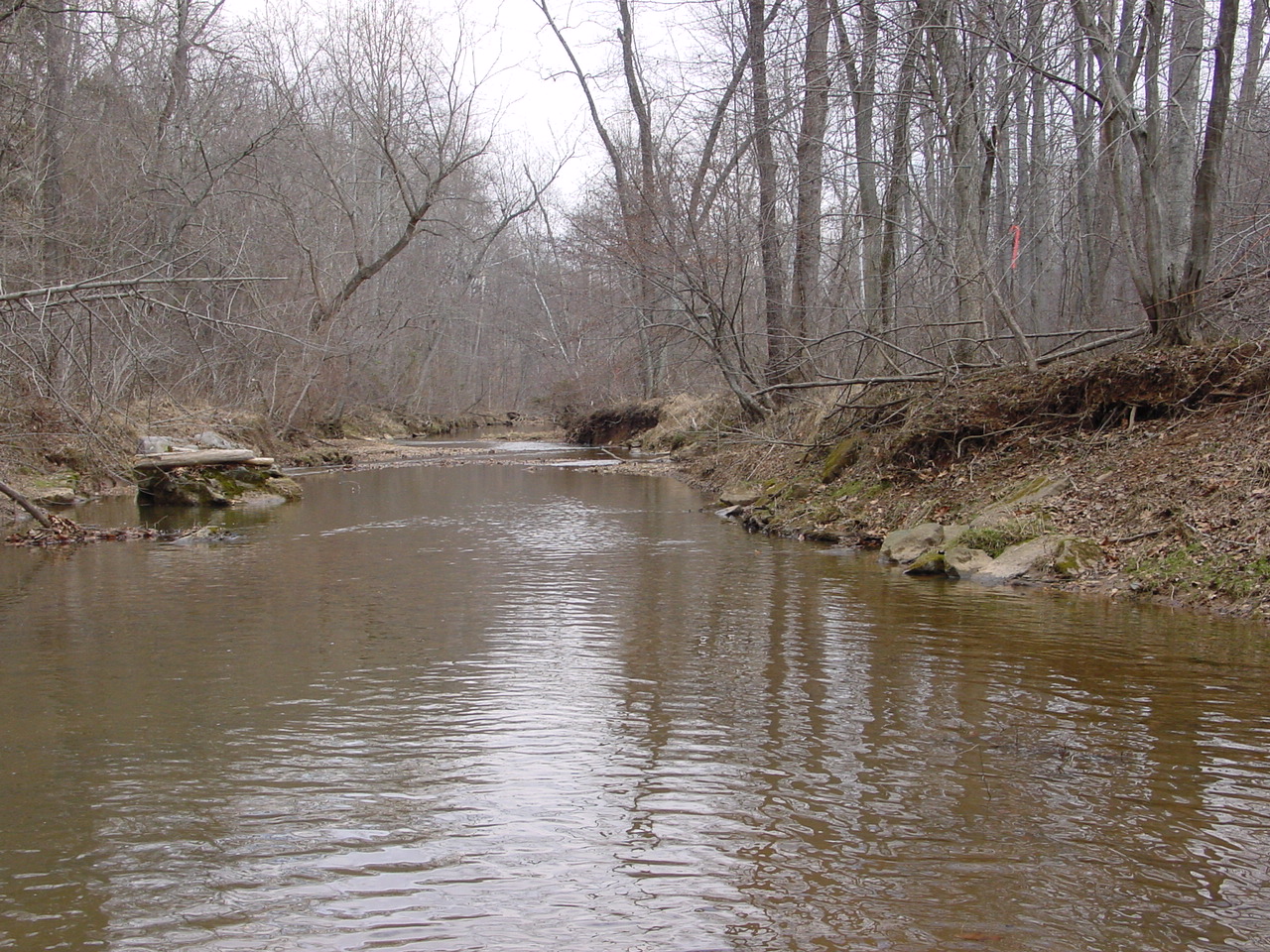 Field photo showing stream conditions at site PRMO-307-R-2002-1