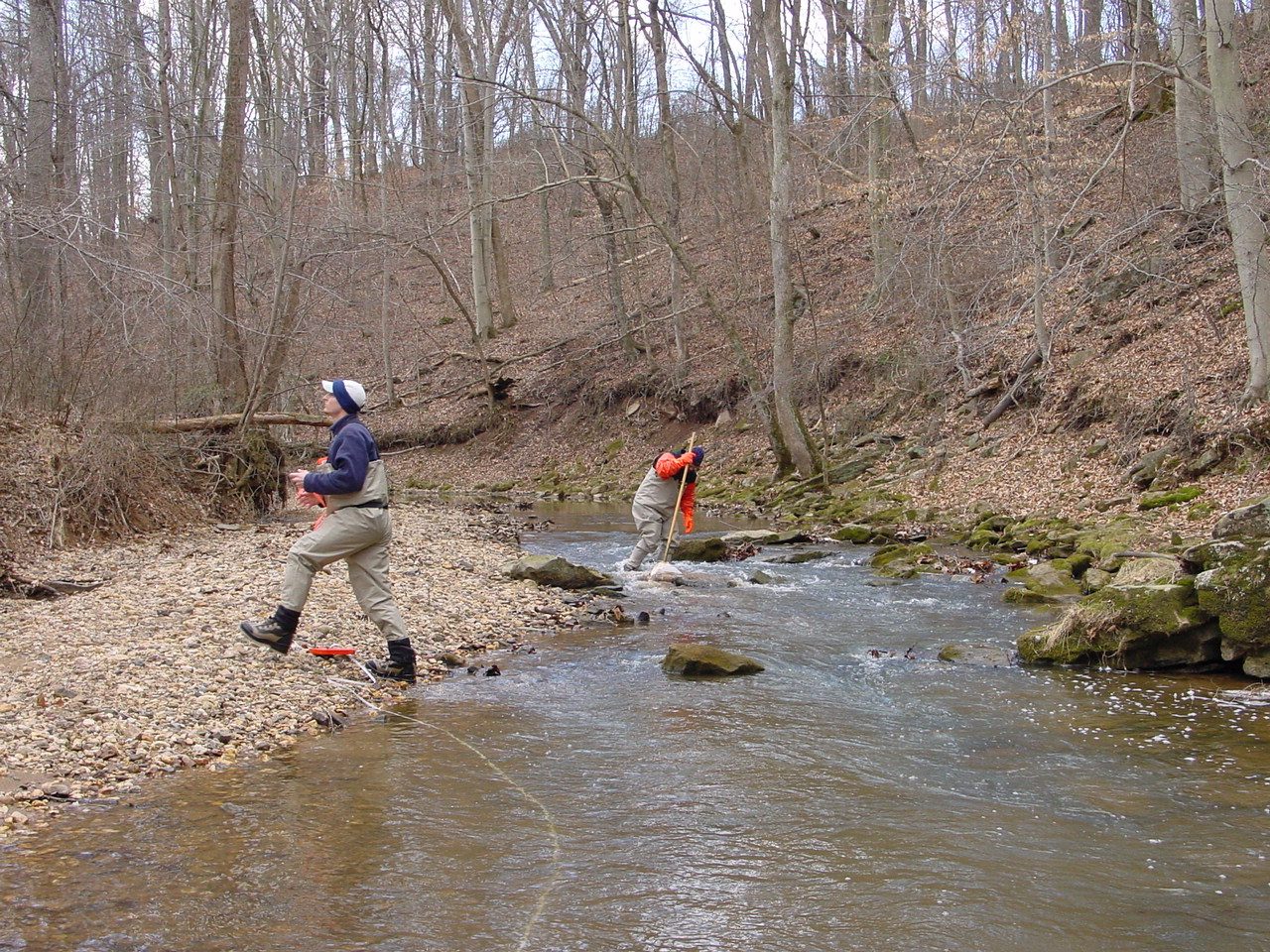 Field photo showing stream conditions at site PRMO-307-R-2002-2