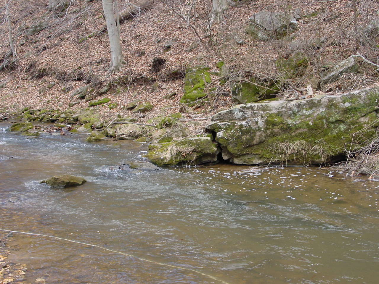Field photo showing stream conditions at site PRMO-307-R-2002-3