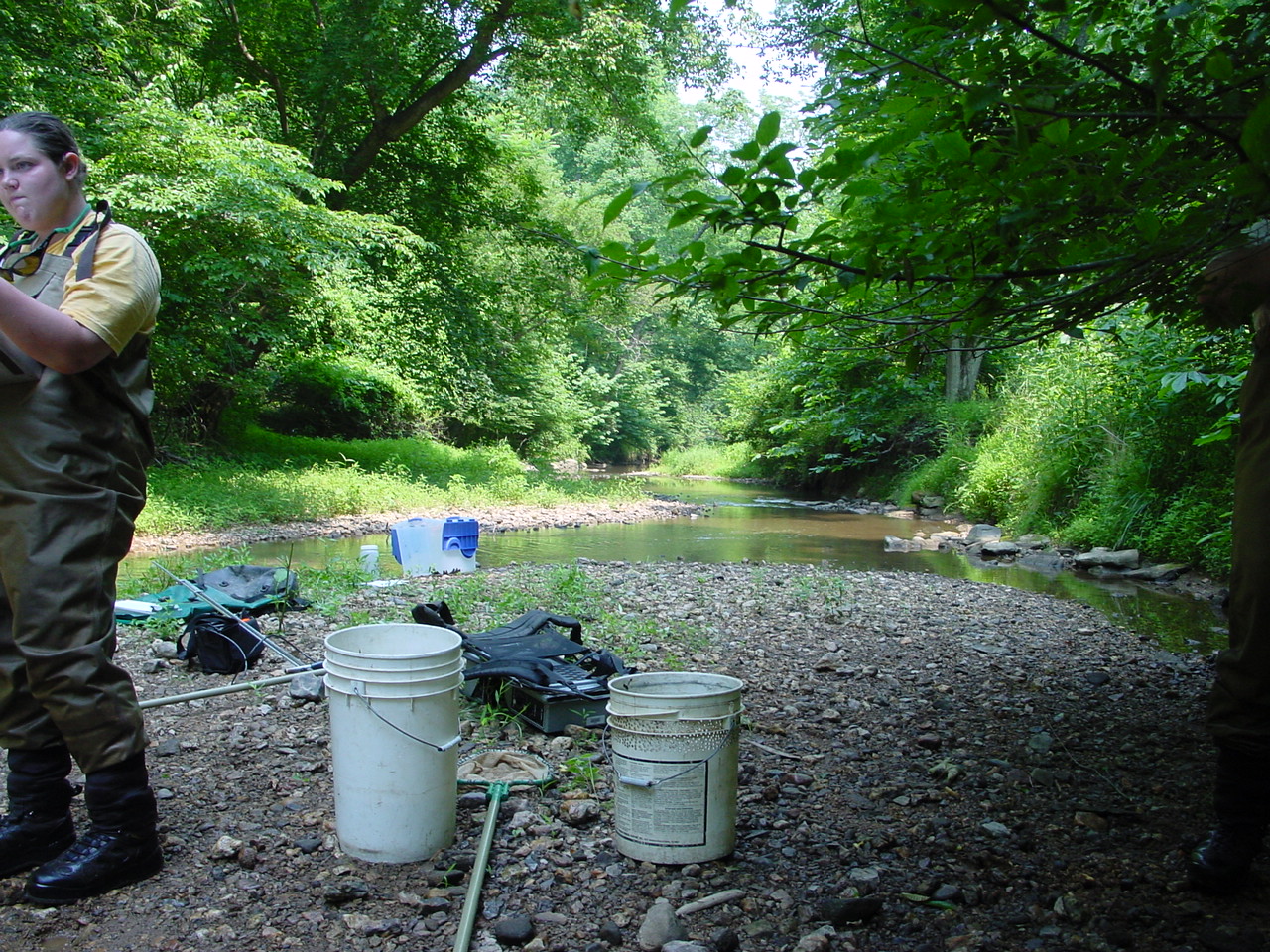 Field photo showing stream conditions at site PRMO-307-R-2002-4