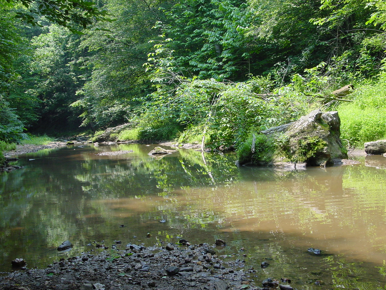 Field photo showing stream conditions at site PRMO-307-R-2002-5