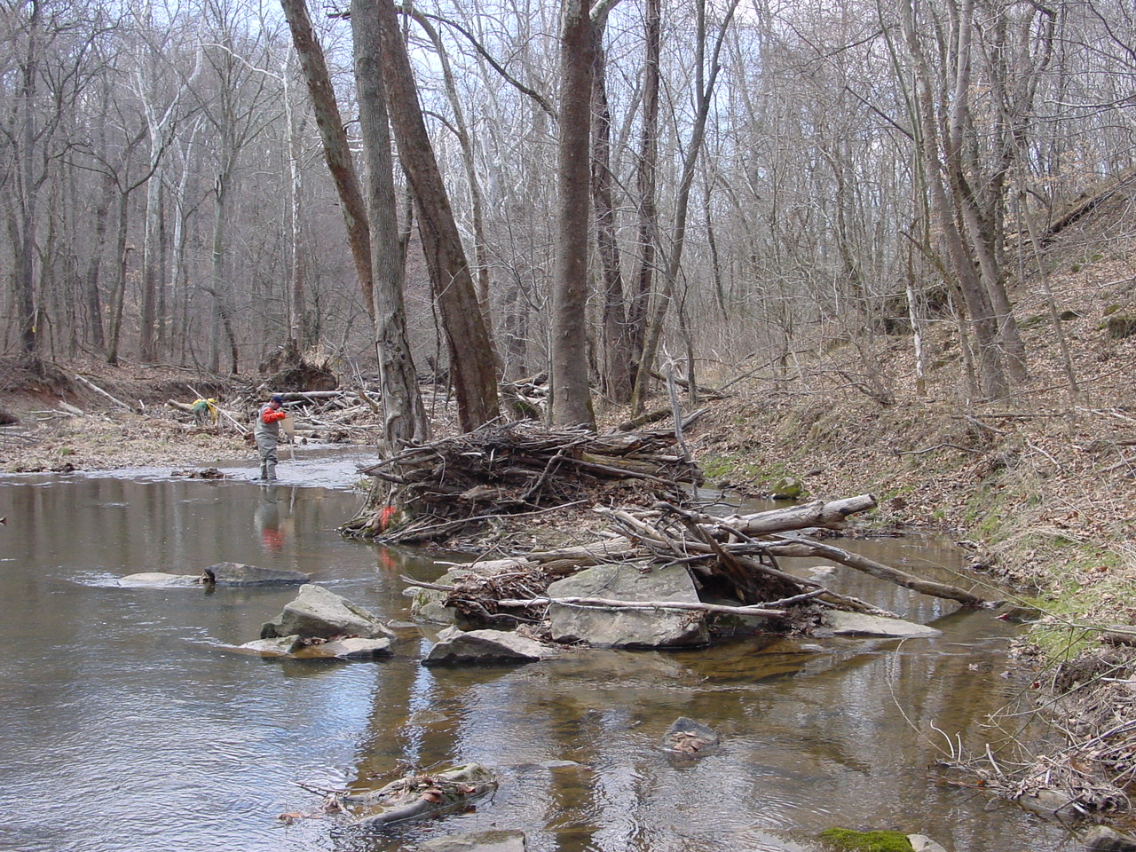 Field photo showing stream conditions at site PRMO-311-R-2002-1