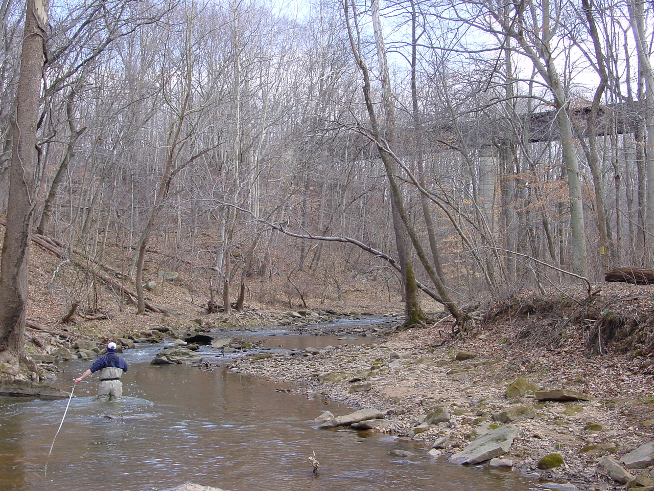 Field photo showing stream conditions at site PRMO-311-R-2002-2