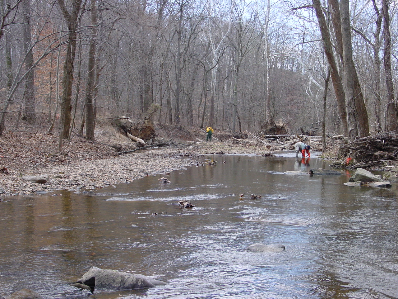 Field photo showing stream conditions at site PRMO-311-R-2002-3