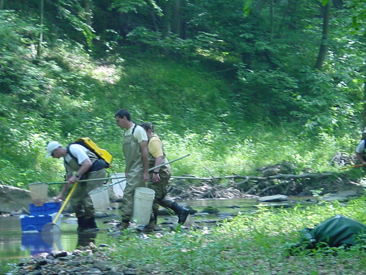 Field photo showing stream conditions at site PRMO-311-R-2002-4