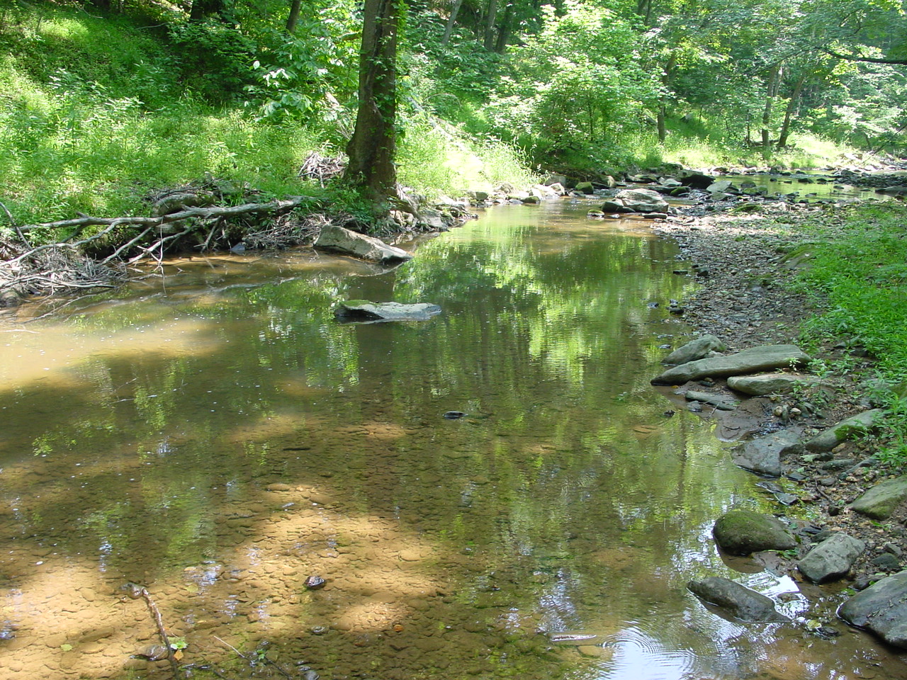 Field photo showing stream conditions at site PRMO-311-R-2002-5
