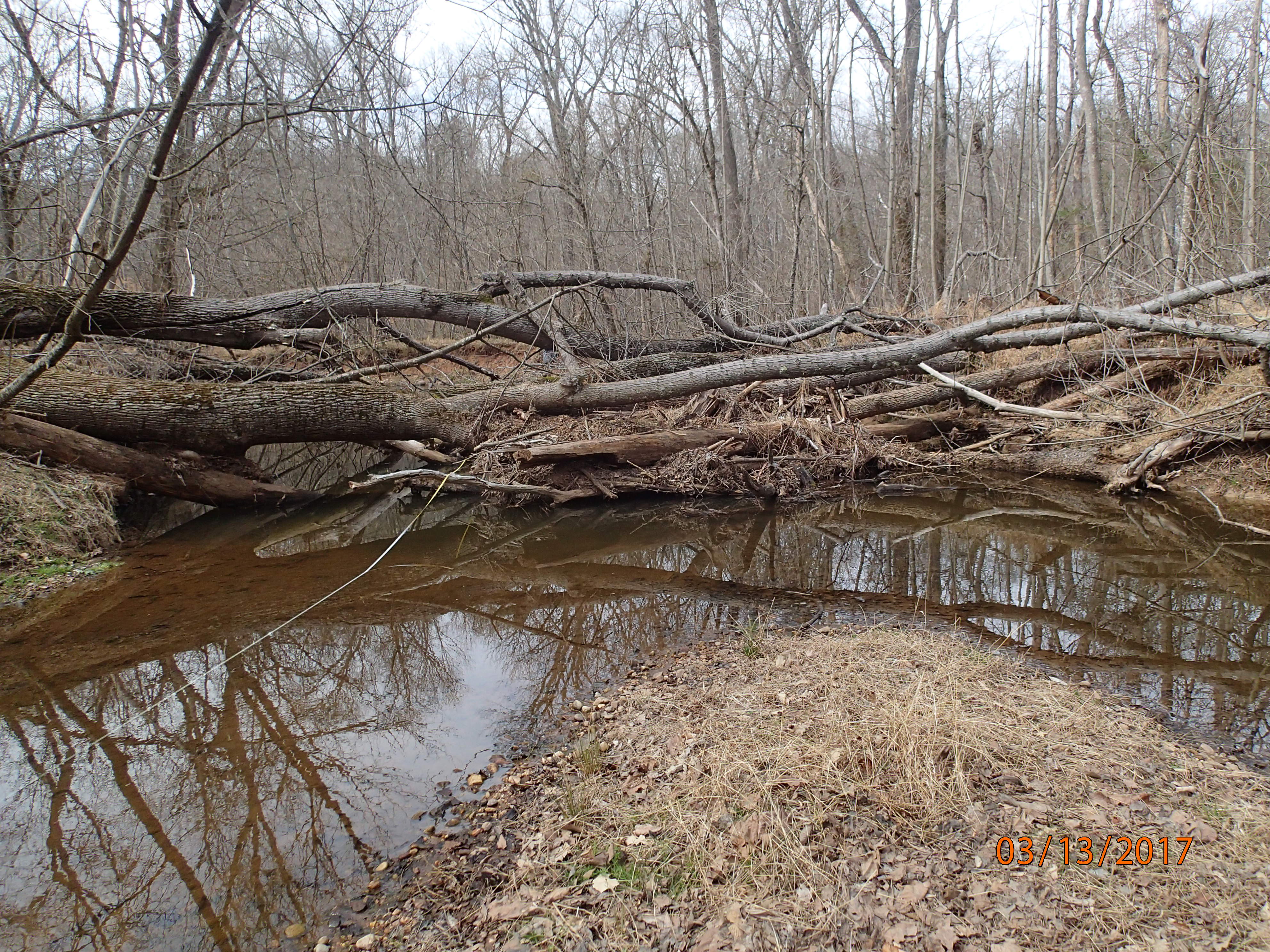 Field photo showing stream conditions at site PRMO-311-R-2017-MidpointDownstream