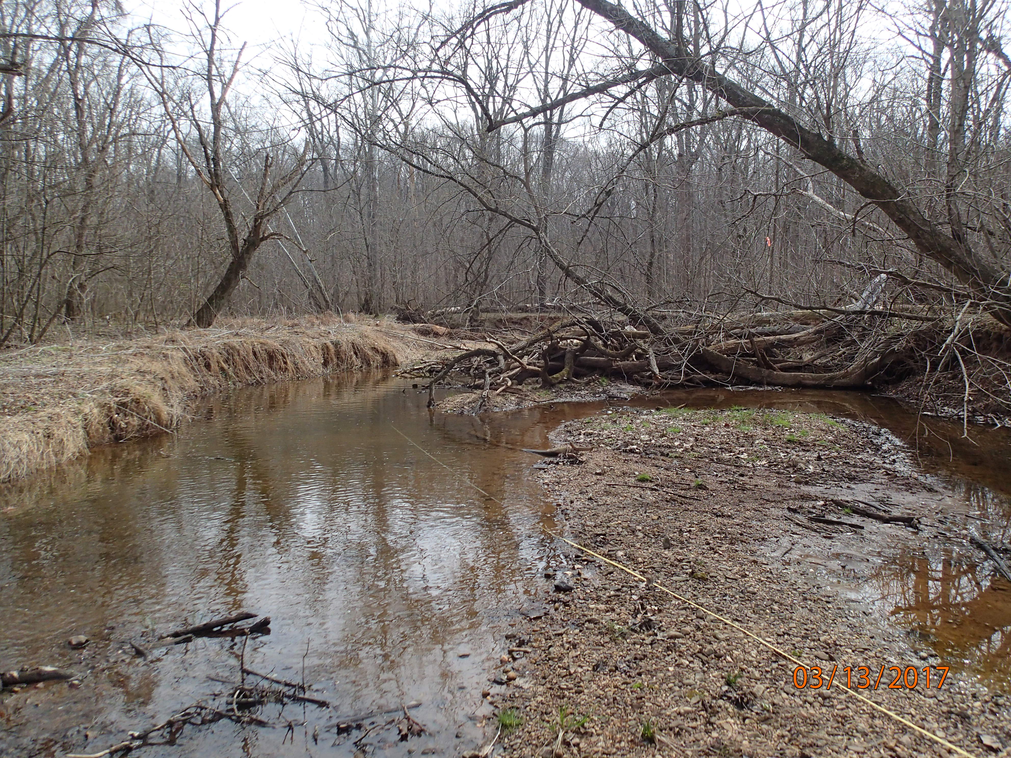 Field photo showing stream conditions at site PRMO-311-R-2017-MidpointUpstream