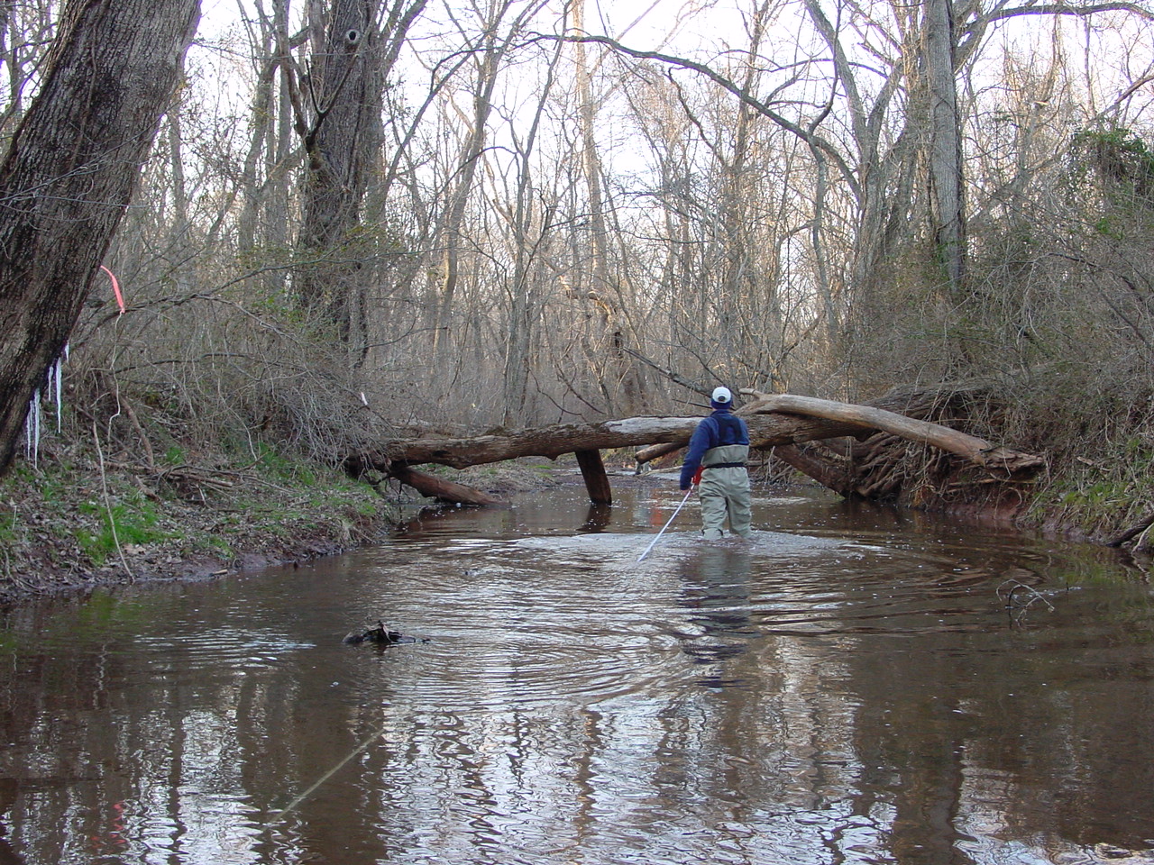 Field photo showing stream conditions at site PRMO-313-R-2002-1
