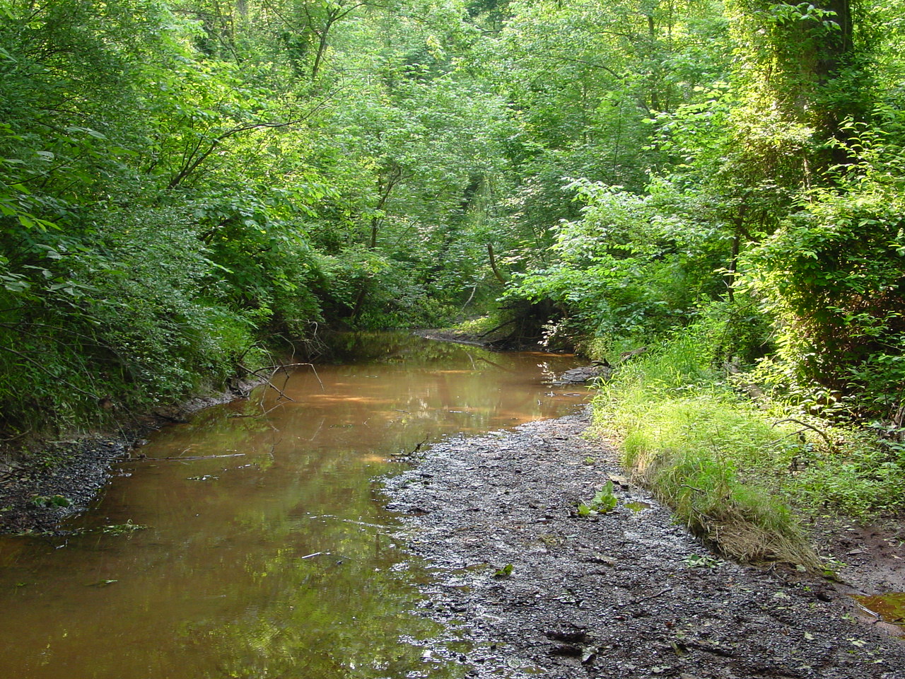 Field photo showing stream conditions at site PRMO-313-R-2002-3