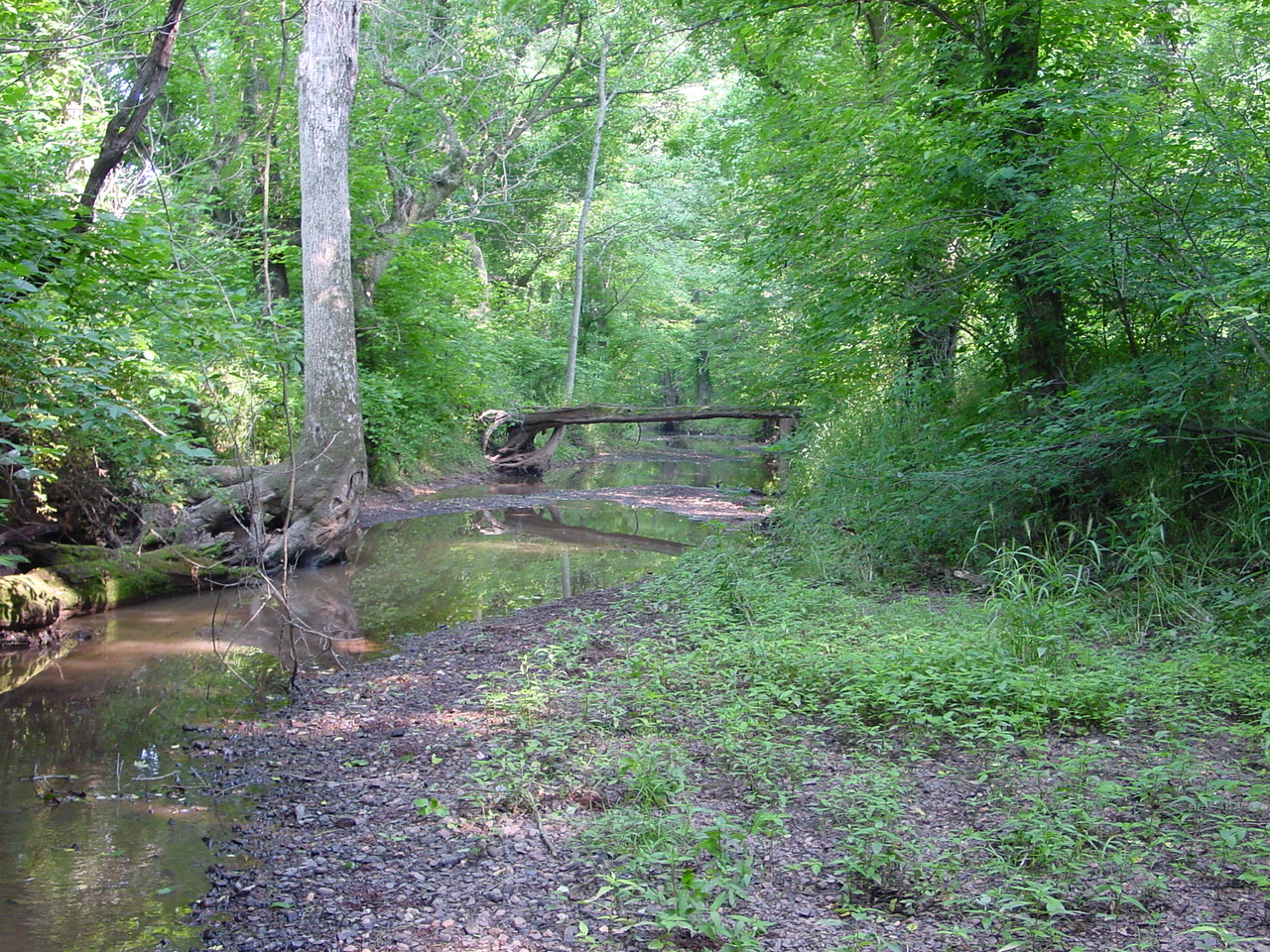 Field photo showing stream conditions at site PRMO-313-R-2002-4