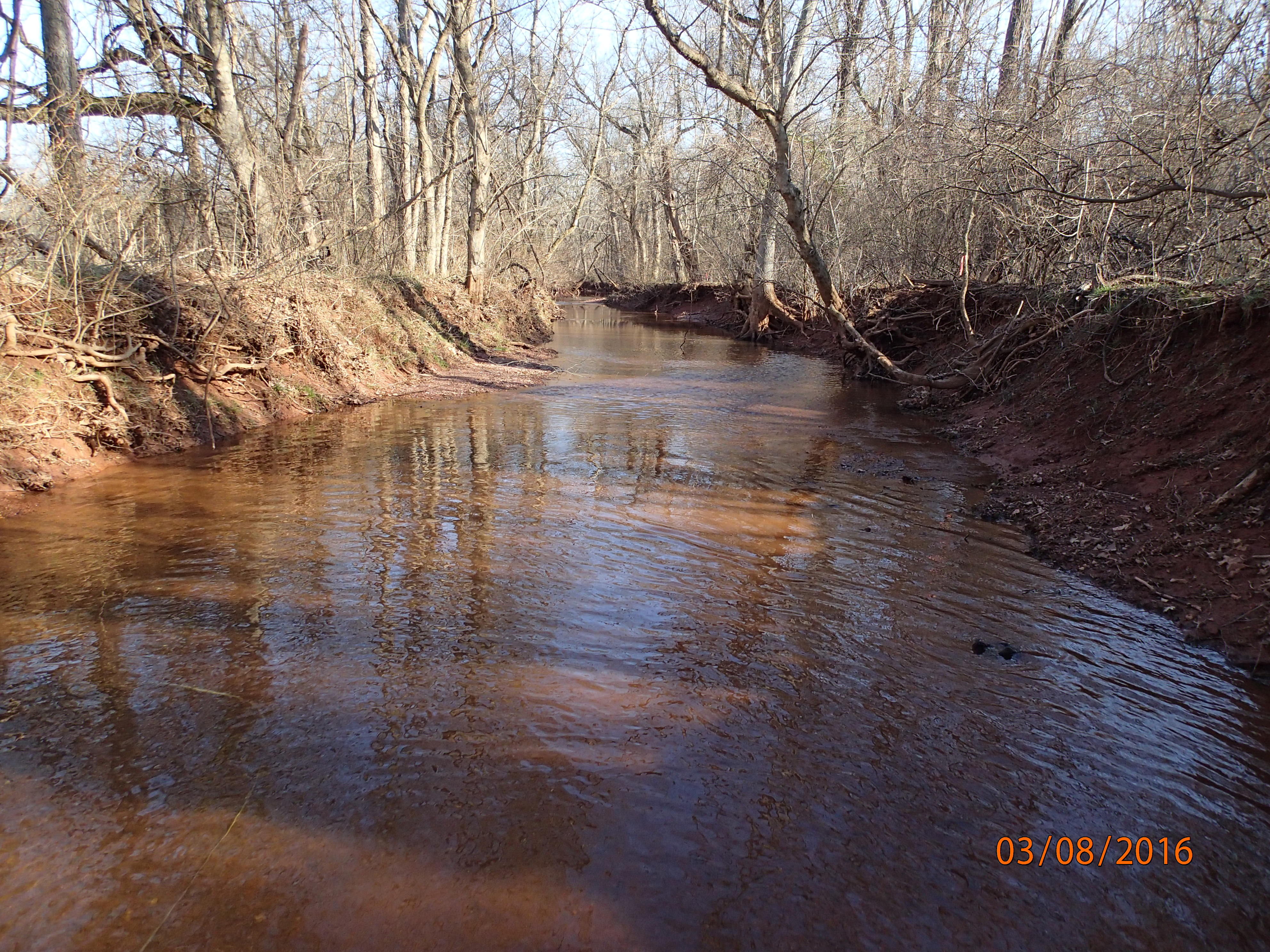 Field photo showing stream conditions at site PRMO-313-R-2016-MidpointDownstream