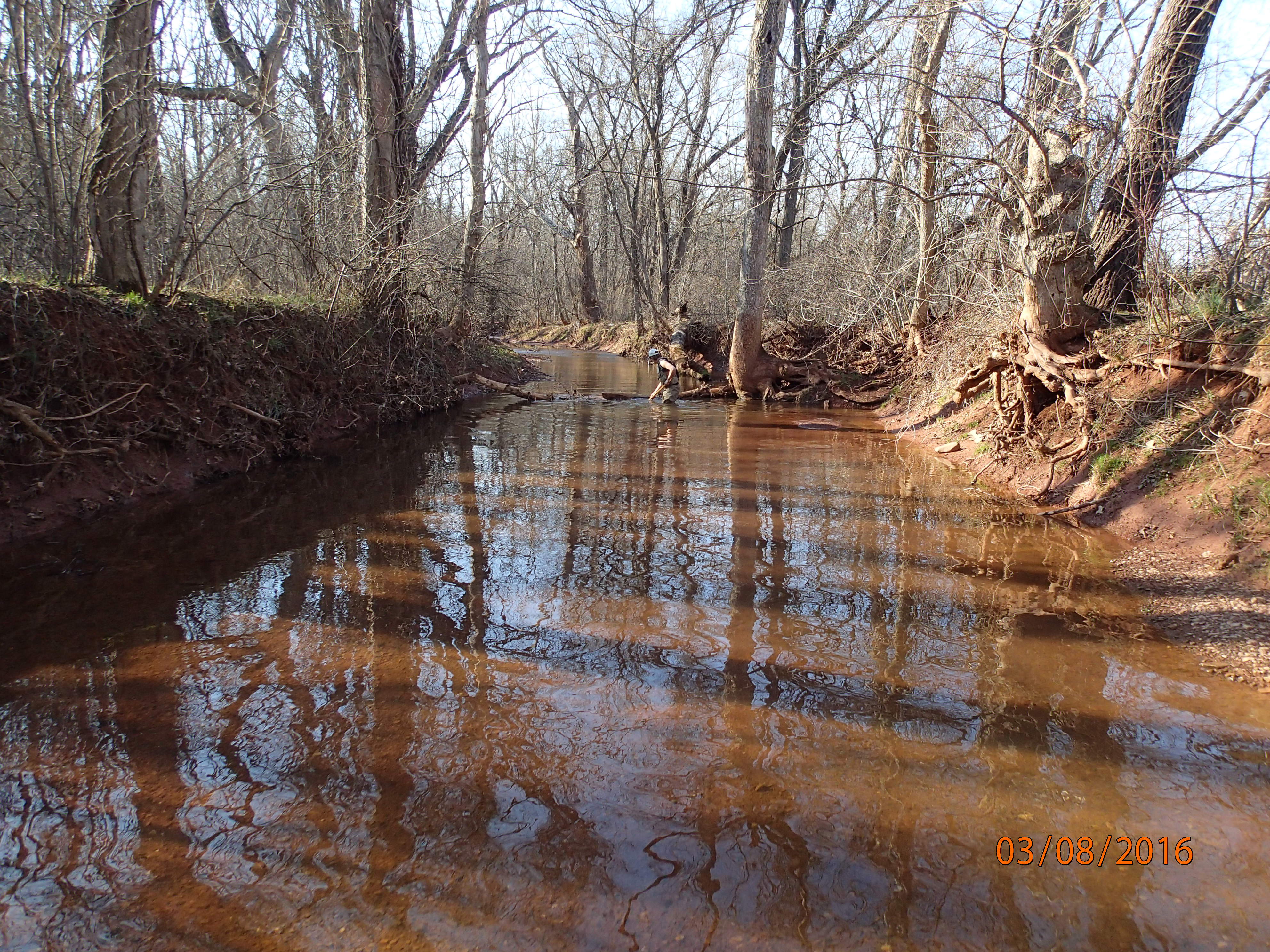 Field photo showing stream conditions at site PRMO-313-R-2016-MidpointUpstream