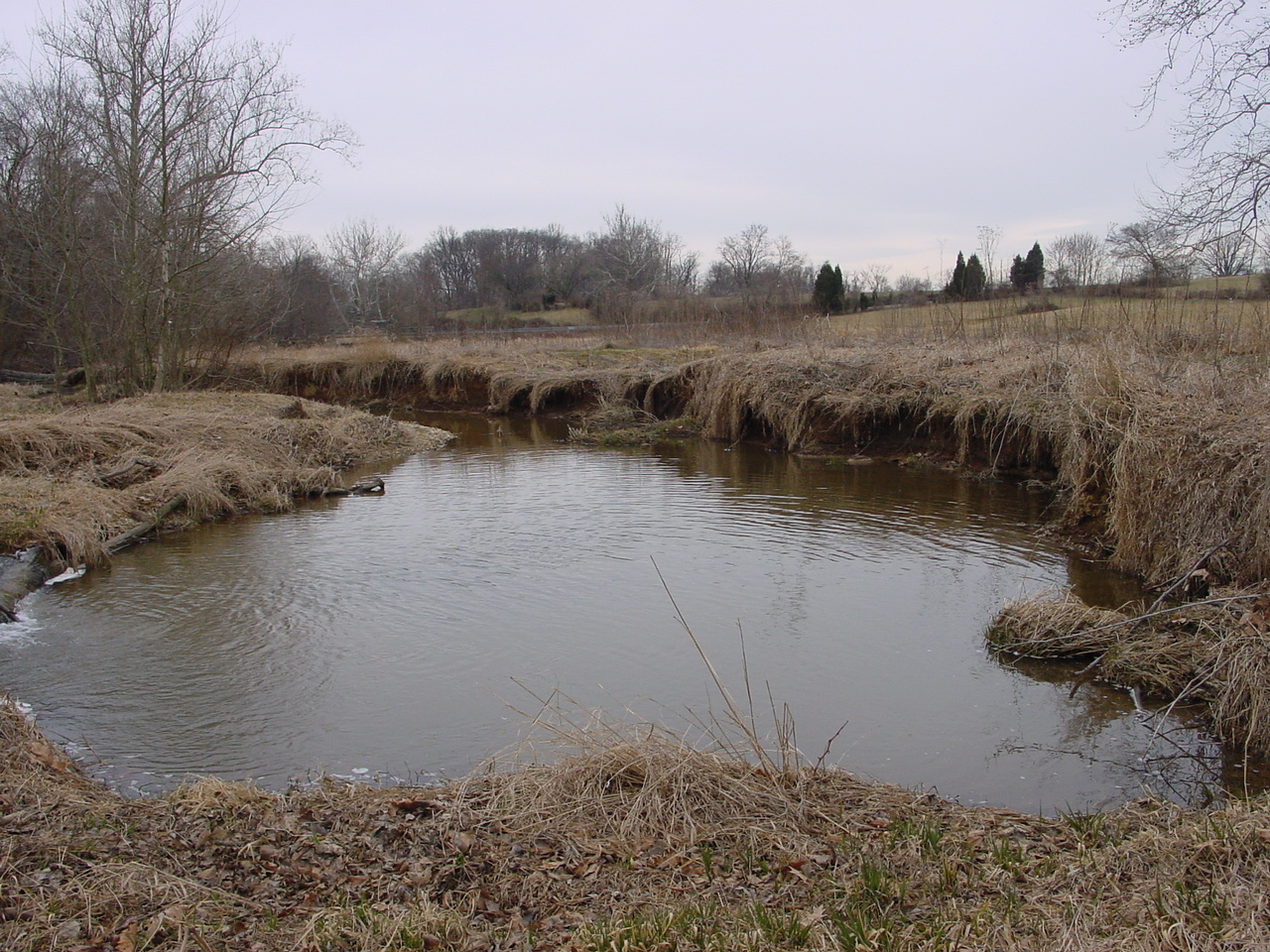 Field photo showing stream conditions at site PRMO-323-R-2002-1
