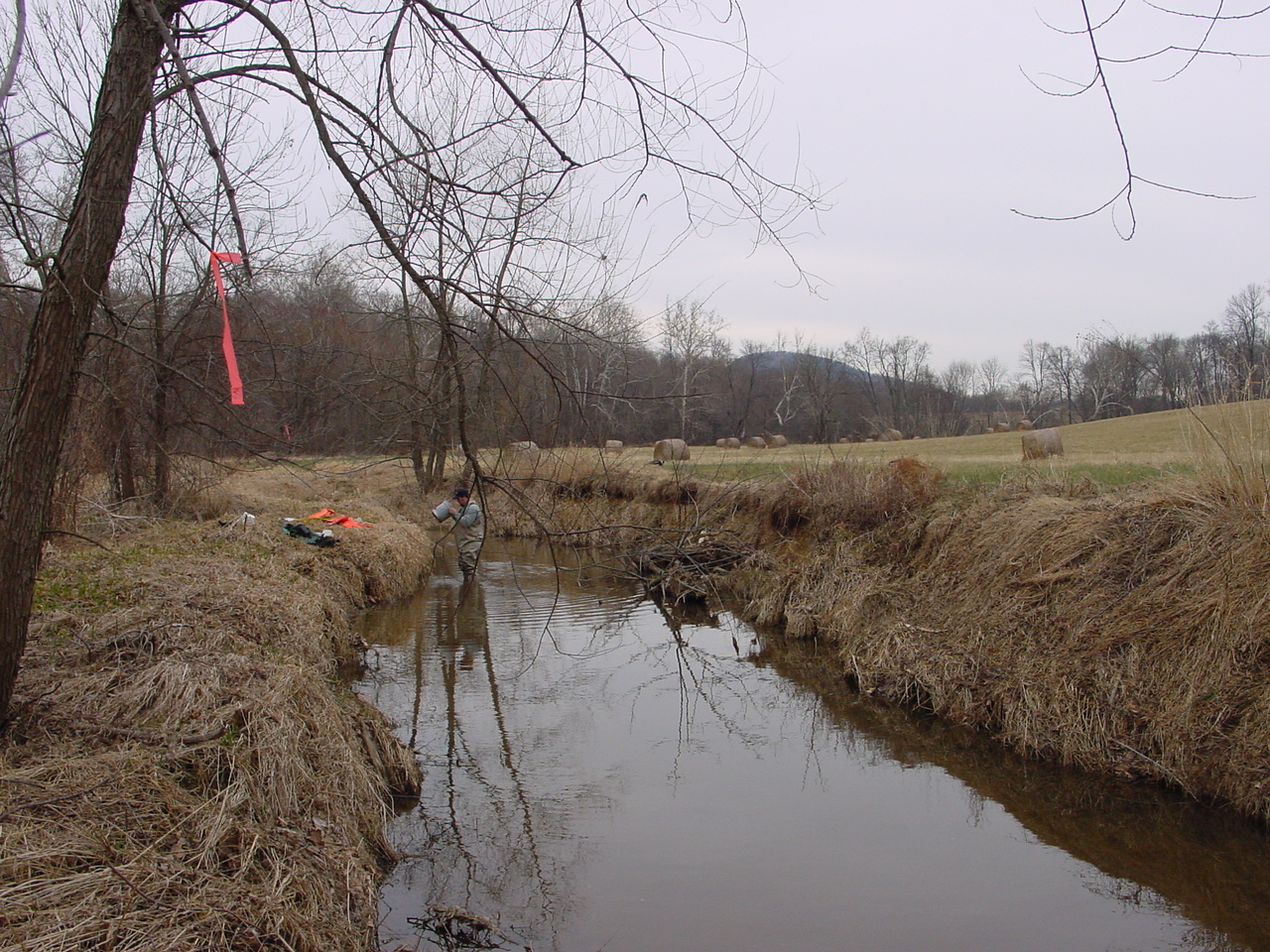 Field photo showing stream conditions at site PRMO-323-R-2002-2