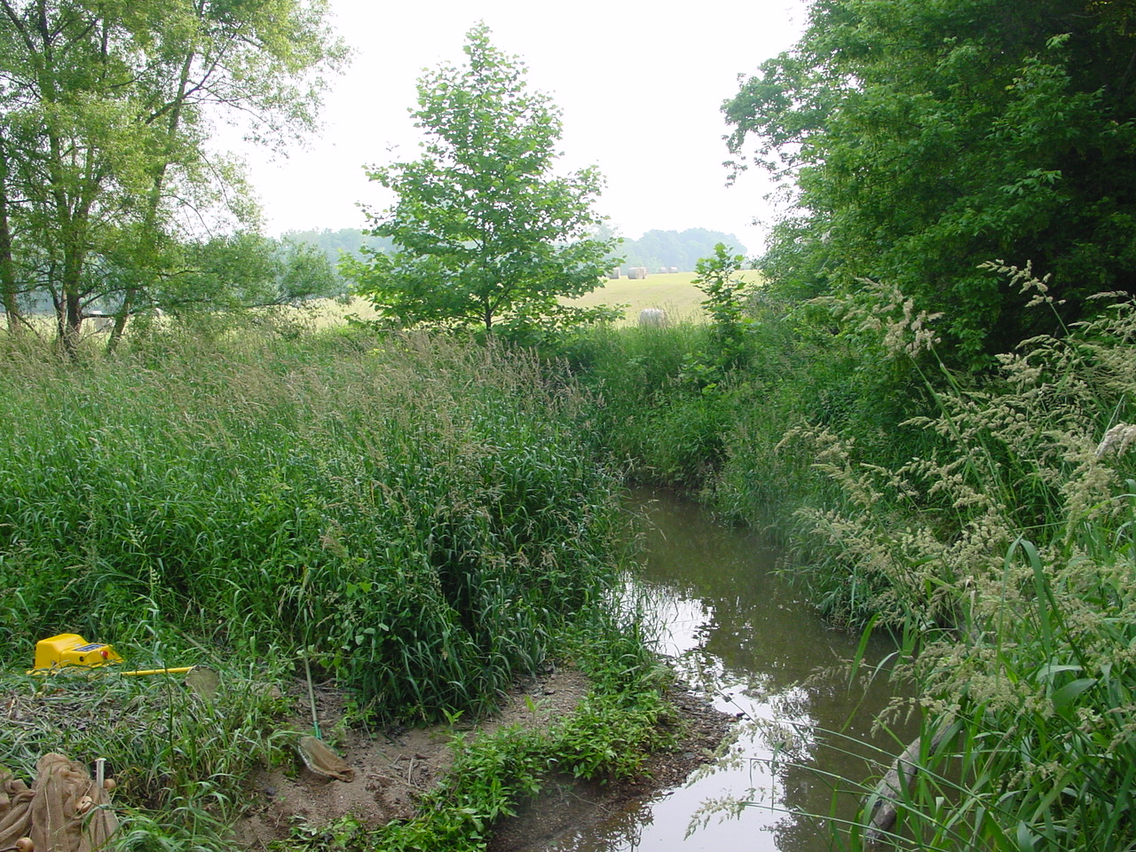 Field photo showing stream conditions at site PRMO-323-R-2002-3