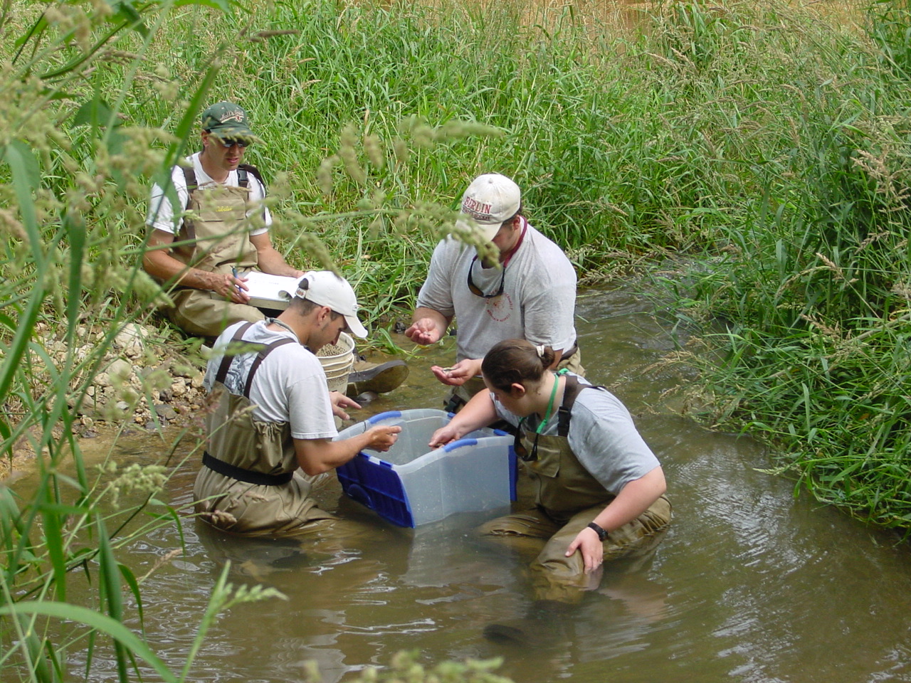 Field photo showing stream conditions at site PRMO-323-R-2002-4