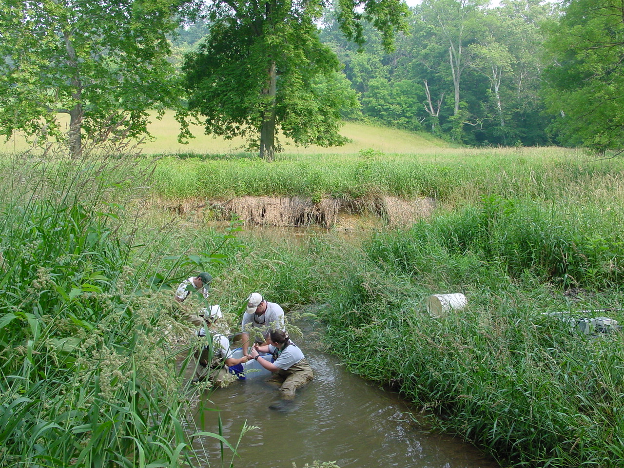 Field photo showing stream conditions at site PRMO-323-R-2002-5