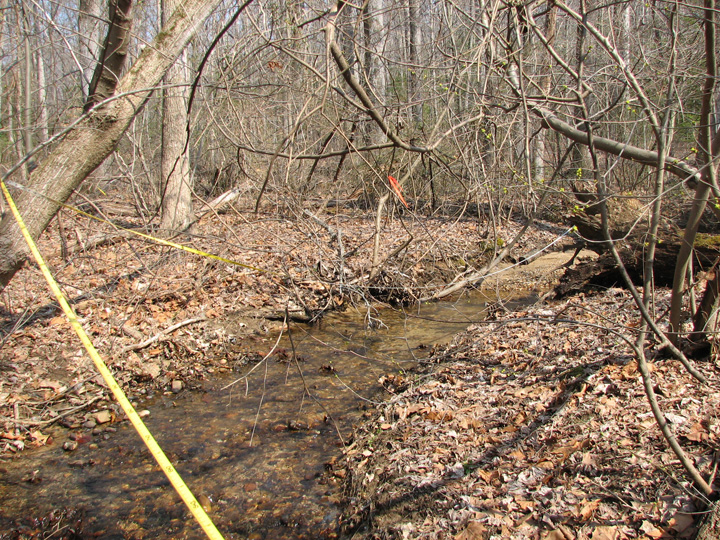 Field photo showing stream conditions at site PRMT-101-R-2007-1