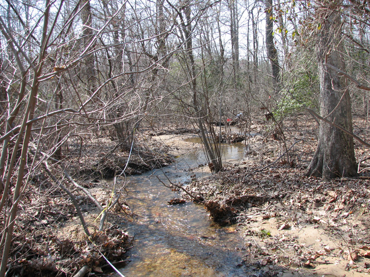 Field photo showing stream conditions at site PRMT-101-R-2007-2