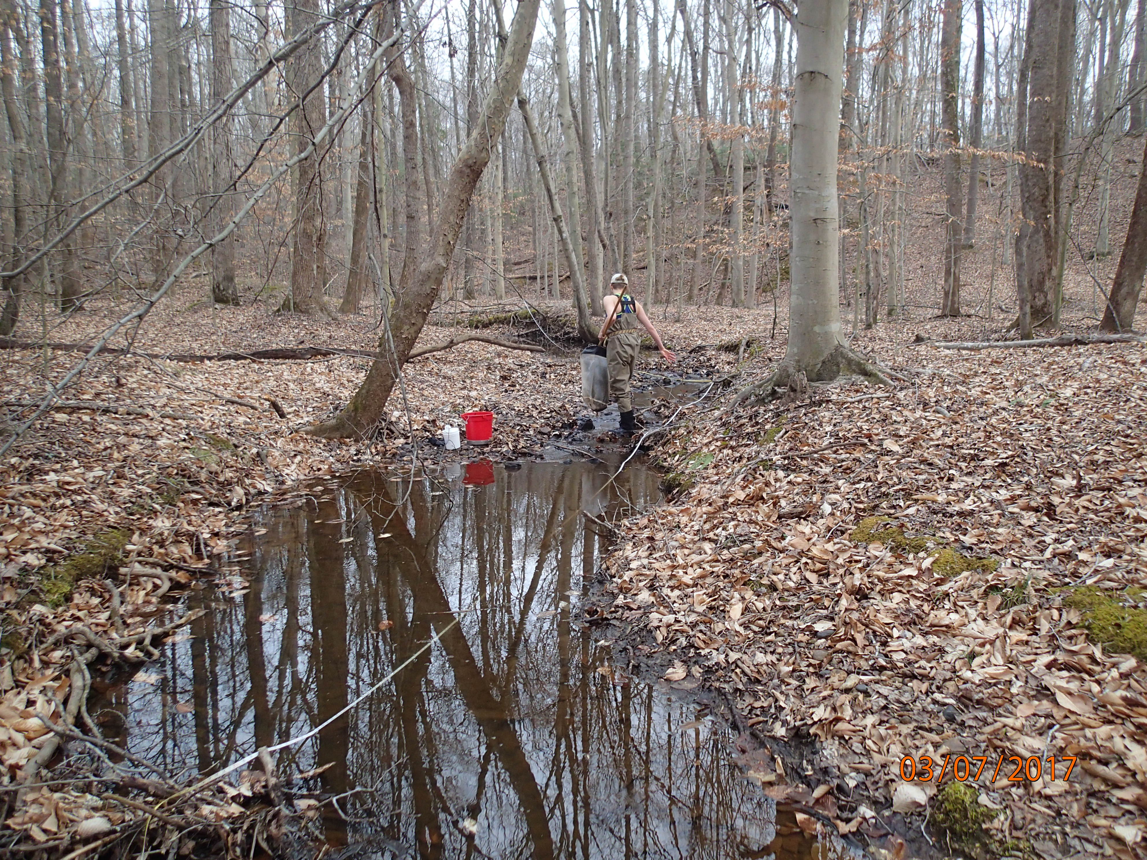 Field photo showing stream conditions at site PRMT-101-X-2017-MidpointUpstream