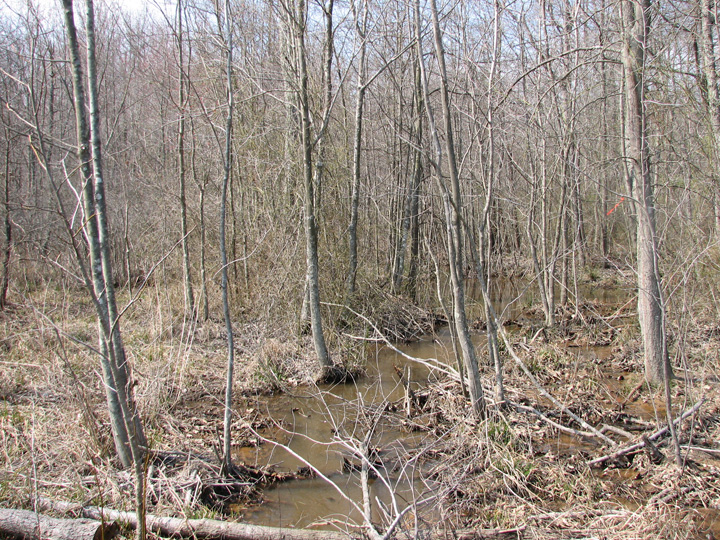 Field photo showing stream conditions at site PRMT-102-R-2007-1