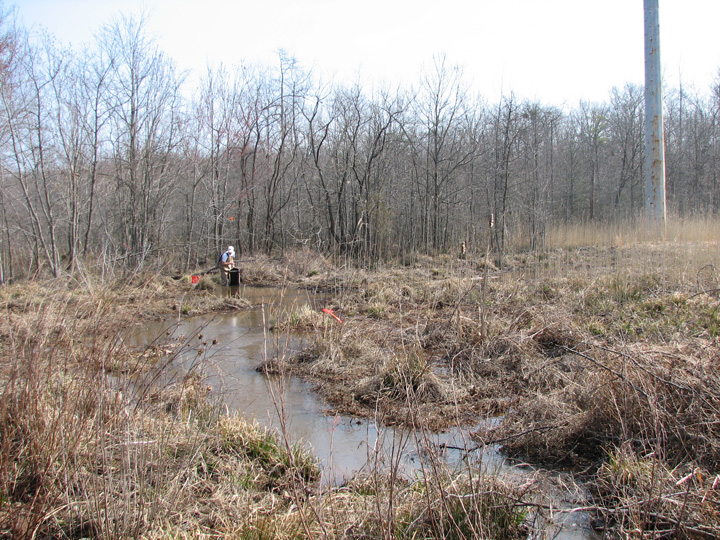 Field photo showing stream conditions at site PRMT-102-R-2007-2