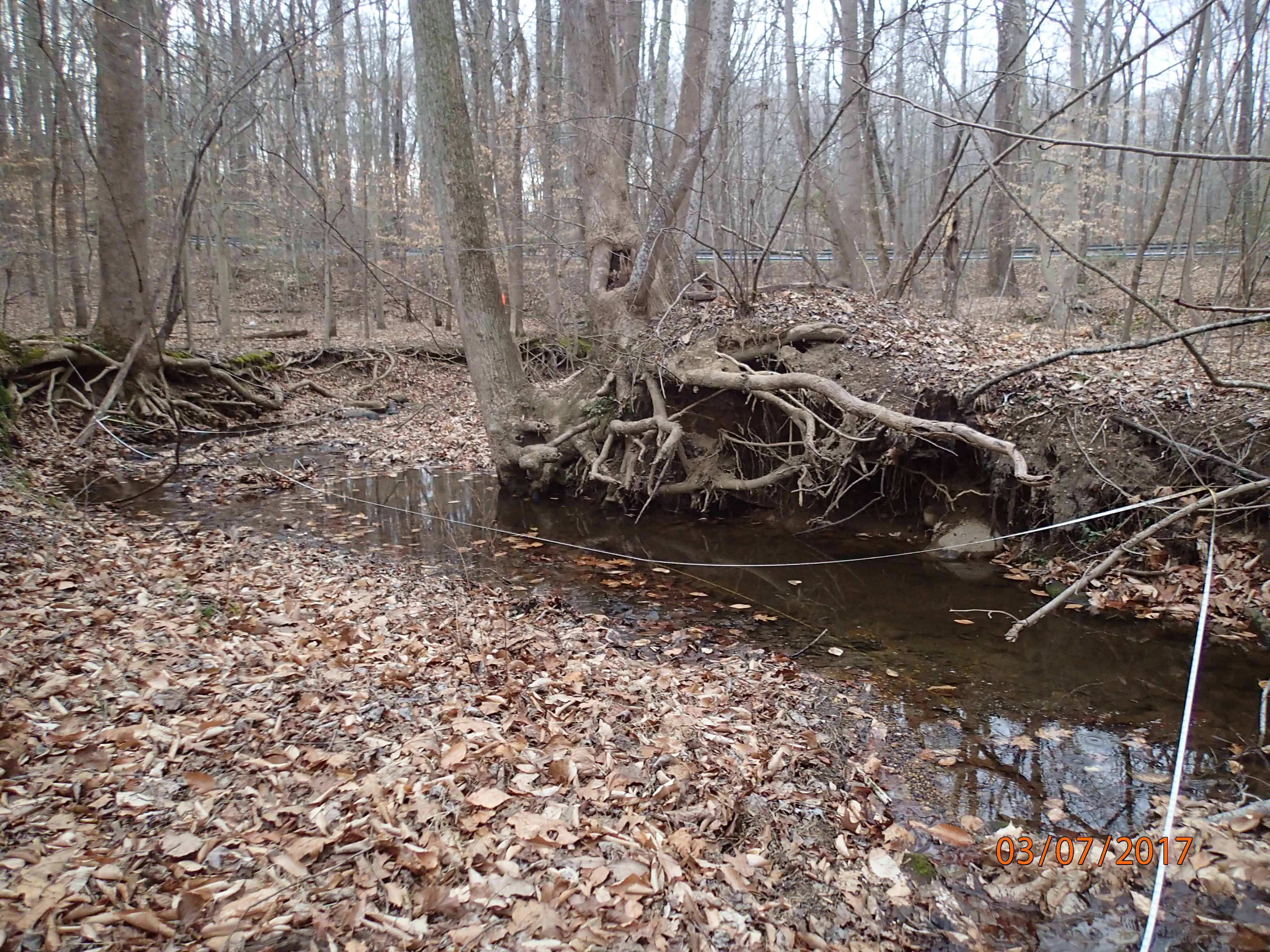 Field photo showing stream conditions at site PRMT-102-X-2017-MidpointDownstream