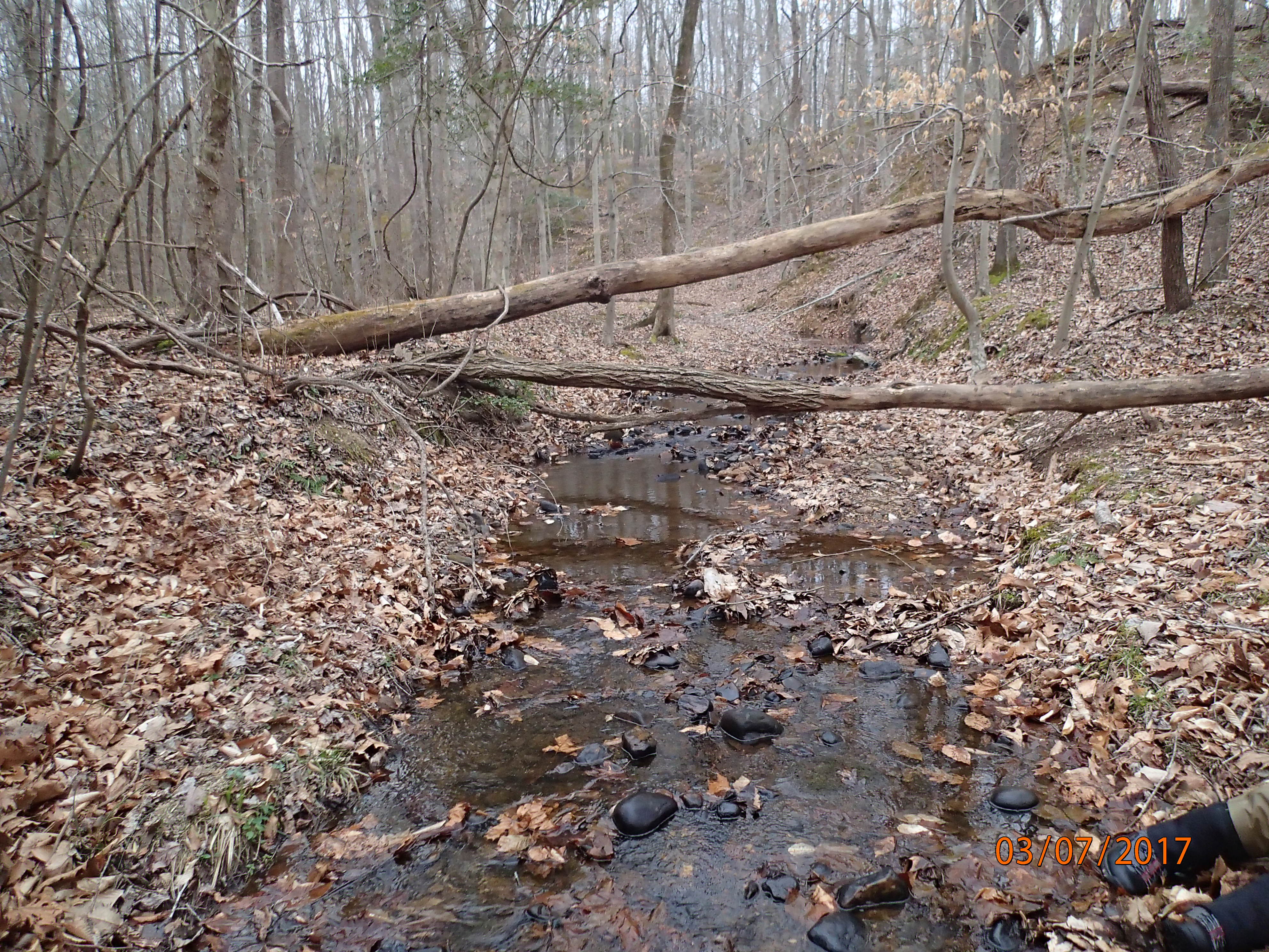 Field photo showing stream conditions at site PRMT-102-X-2017-MidpointUpstream