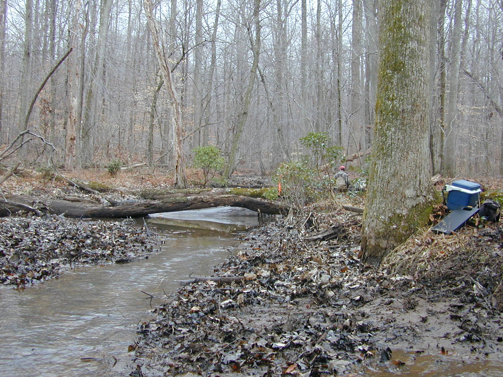 Field photo showing stream conditions at site PRMT-105-R-2004-1