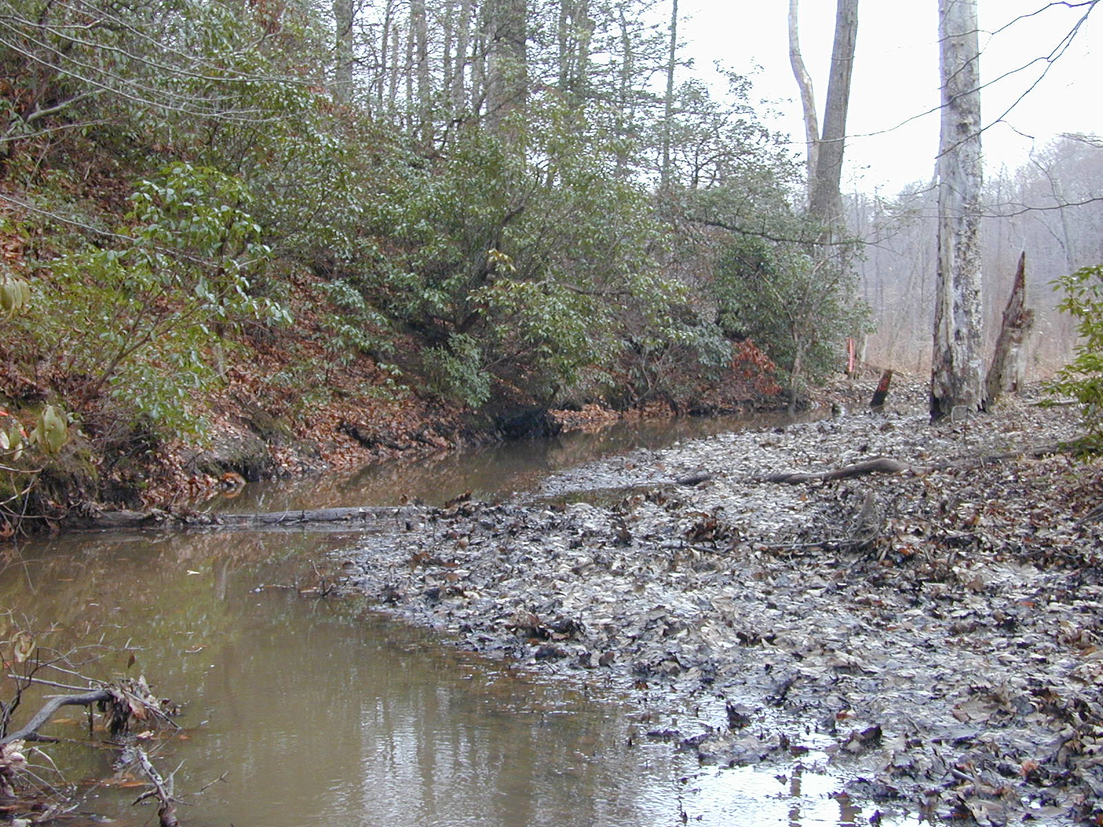 Field photo showing stream conditions at site PRMT-105-R-2004-2