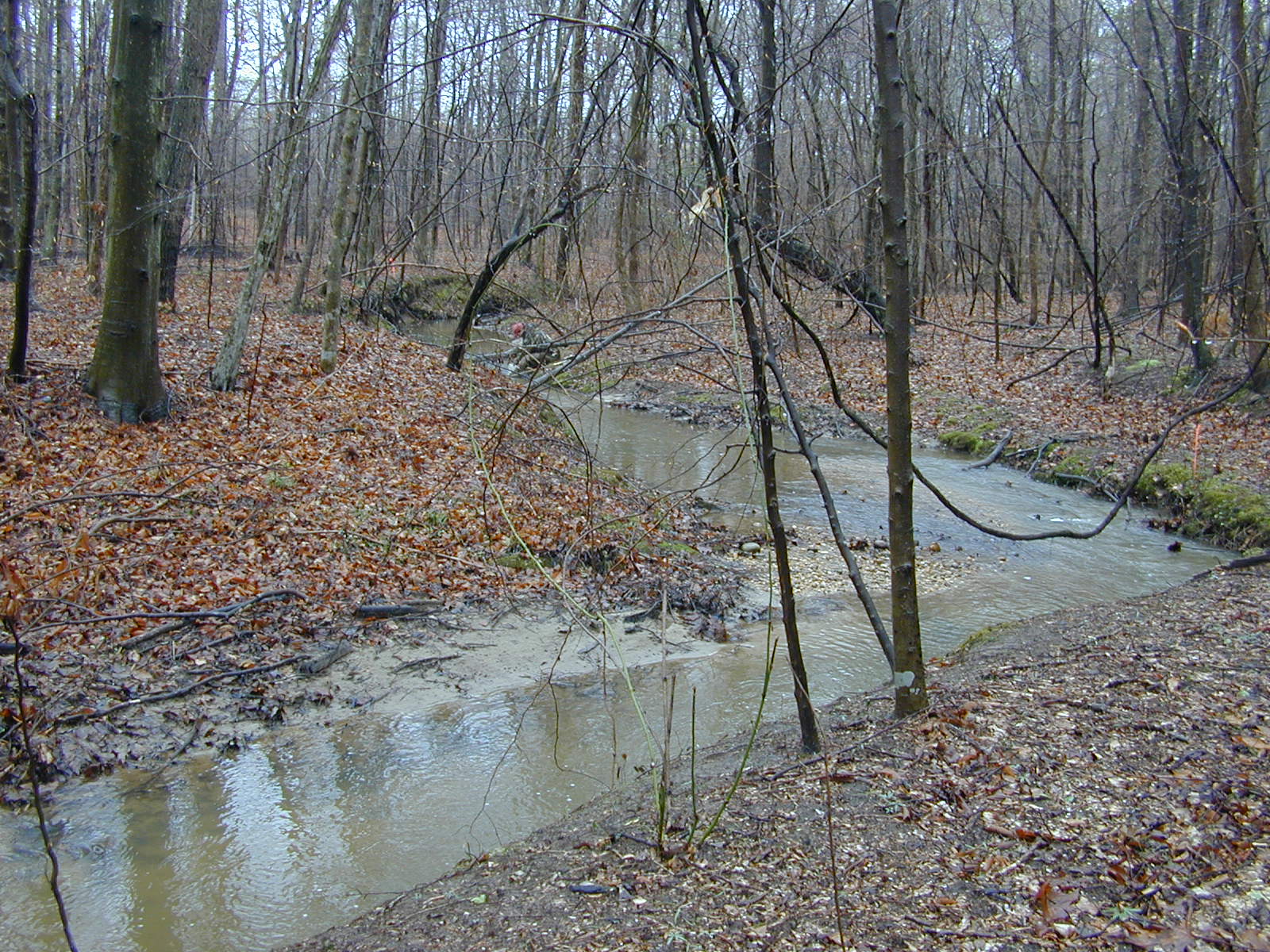 Field photo showing stream conditions at site PRMT-109-R-2004-1