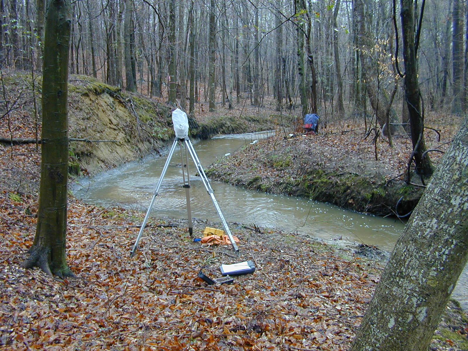Field photo showing stream conditions at site PRMT-109-R-2004-2