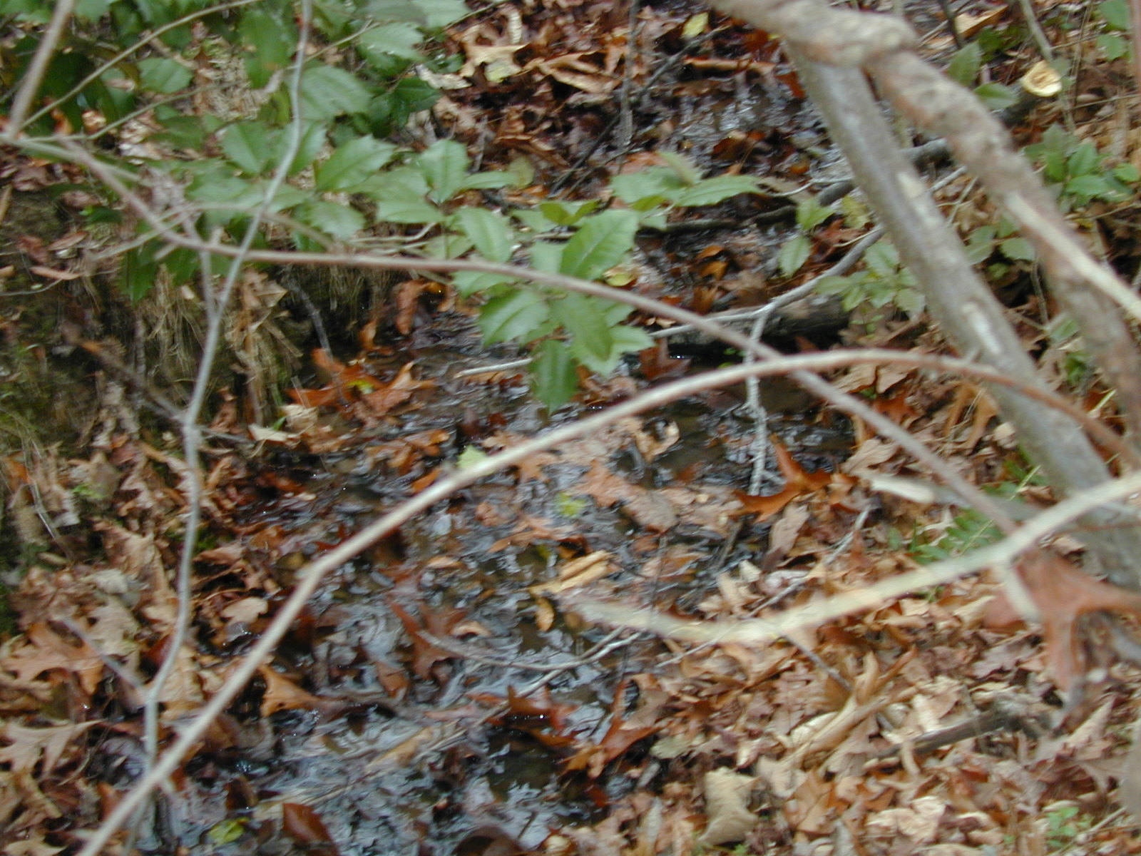 Field photo showing stream conditions at site PRMT-110-R-2002-435