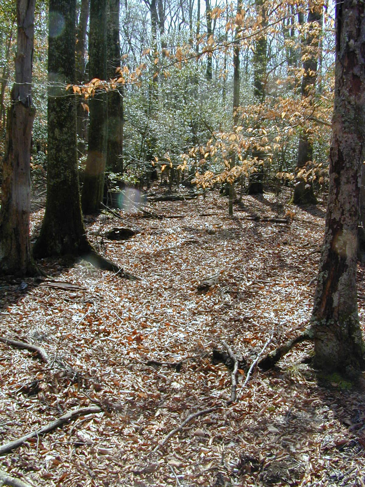 Field photo showing stream conditions at site PRMT-111-R-2002-413