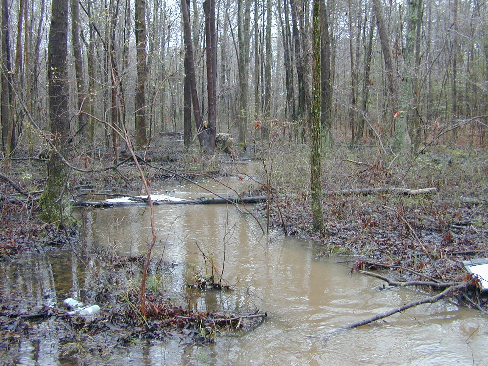 Field photo showing stream conditions at site PRMT-118-R-2004-5