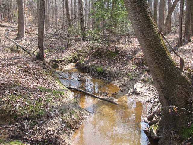 Field photo showing stream conditions at site PRMT-177-S-2012-1